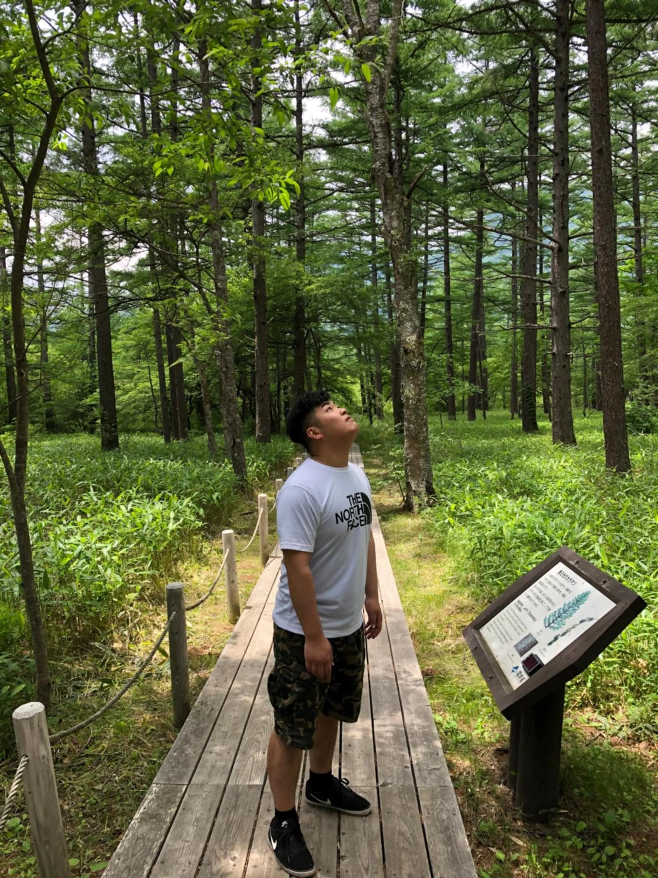 Day in Hatago Nagomi