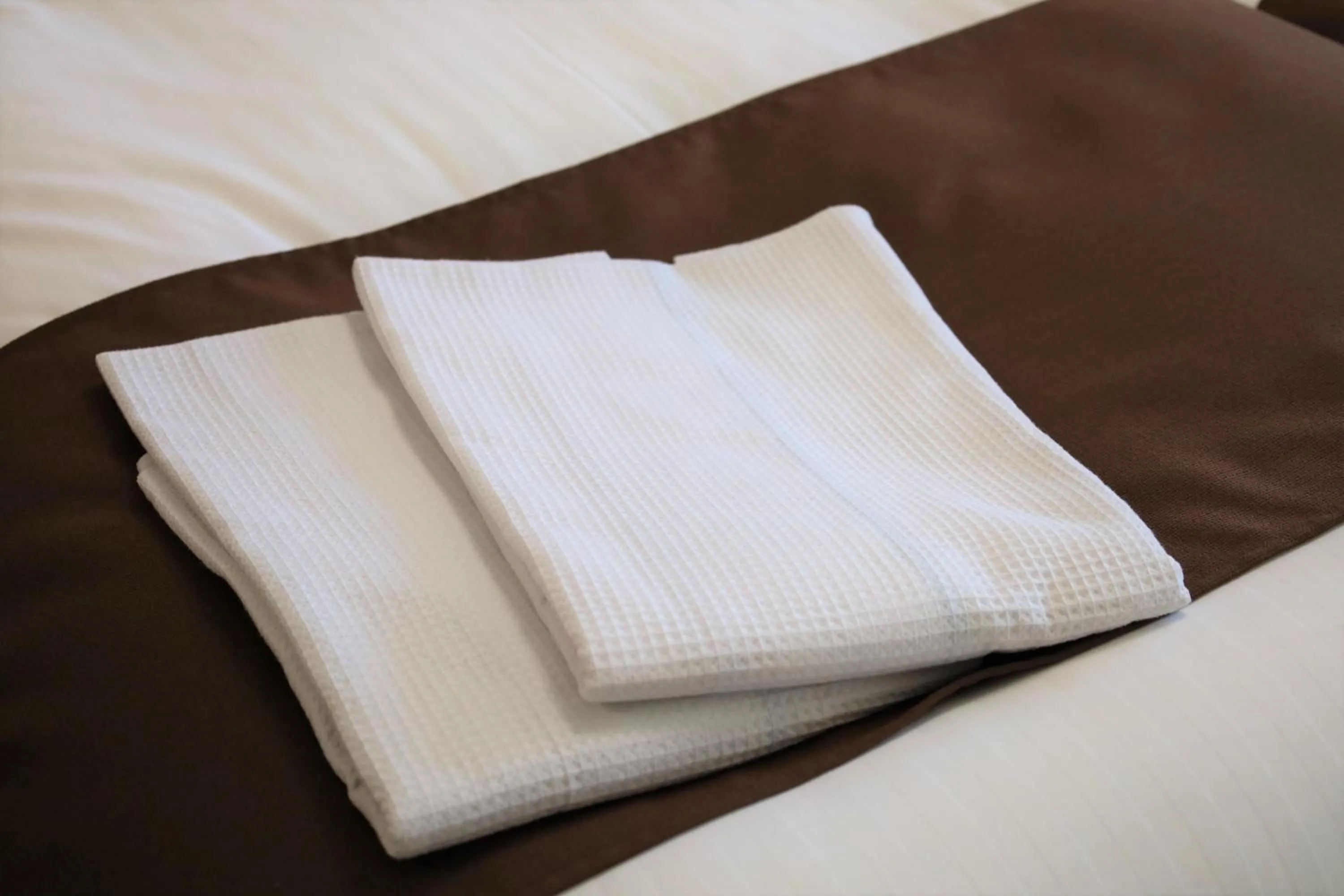 Photo of the whole room, Bed in Hatago Nagomi