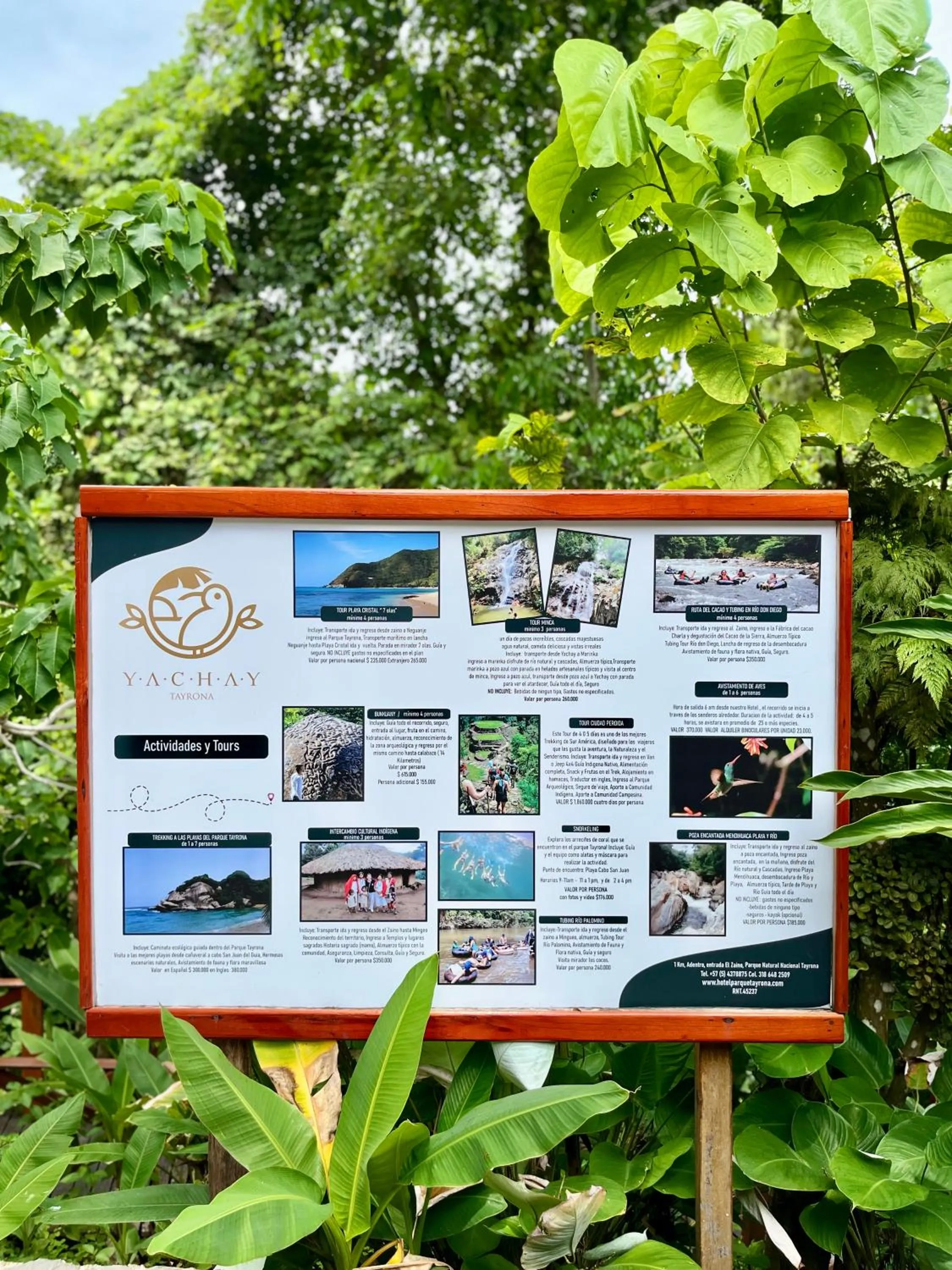 Ecohotel Yachay Dentro del Parque Tayrona Inside Tayrona Park