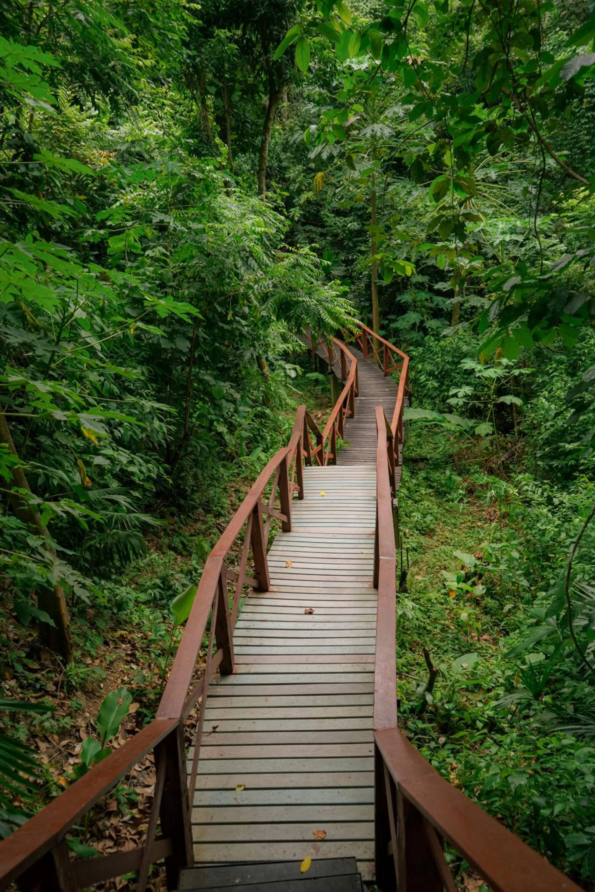 Property building in Ecohotel Yachay Dentro del Parque Tayrona Inside Tayrona Park