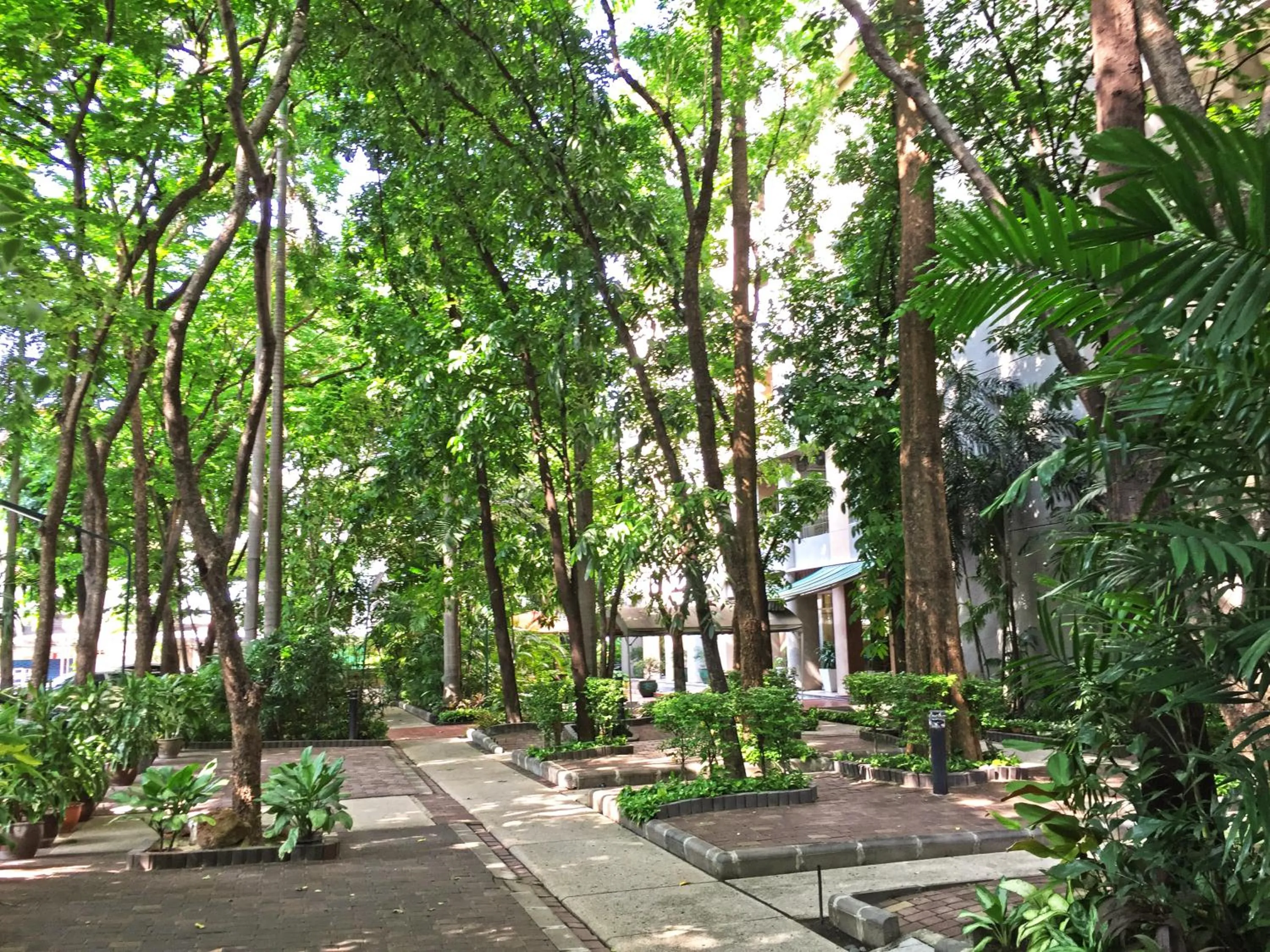 Garden in Rio Monte Residence