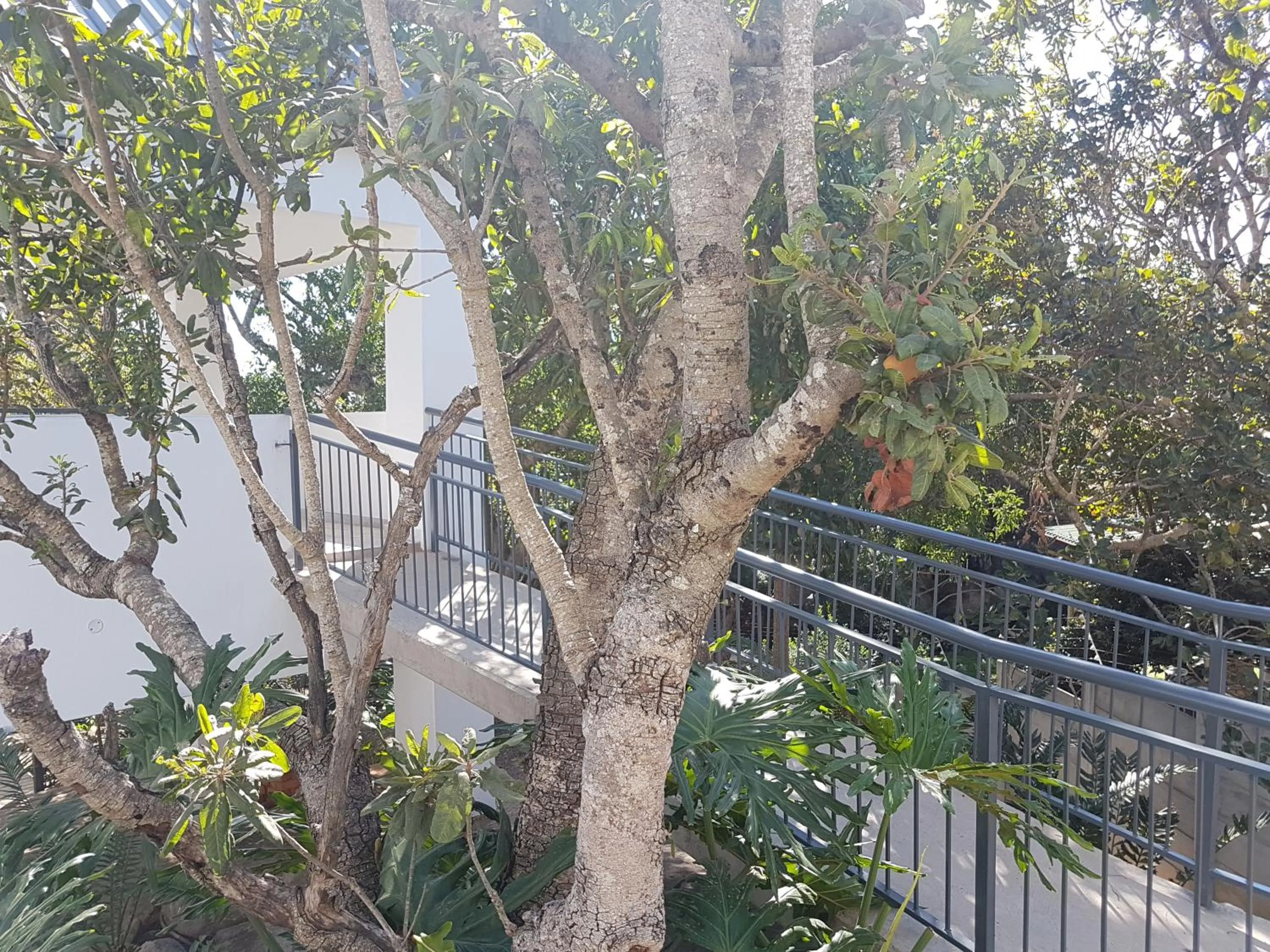 Garden in Be Our Guest Self Catering