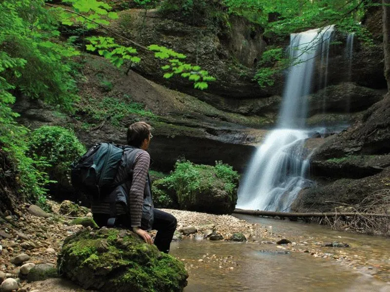 People in Landhotel Herzberger garni Zimmer & Ferienwohnungen