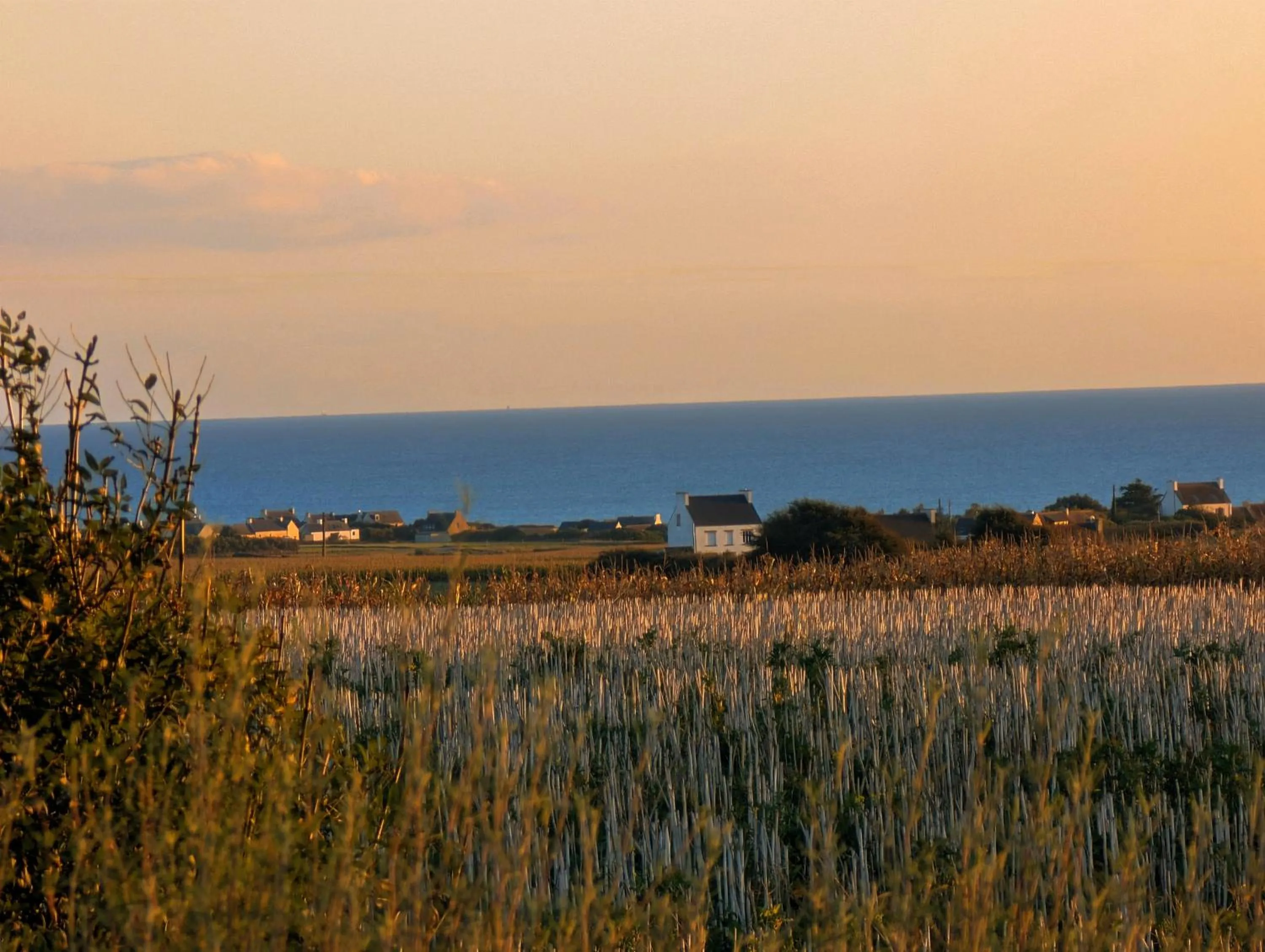 La Tour du Bois Dormant
