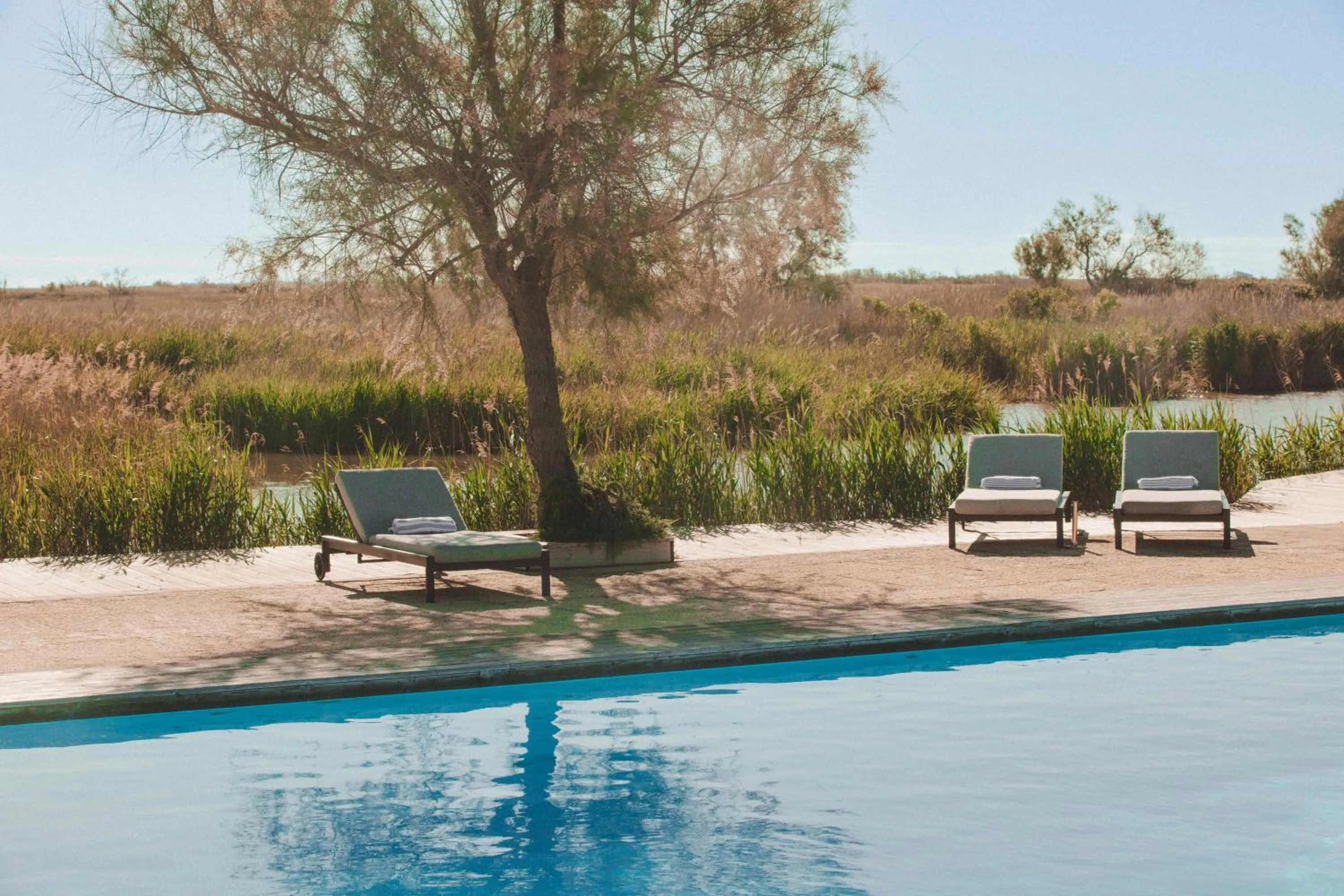 Garden view in Les Bains Gardians