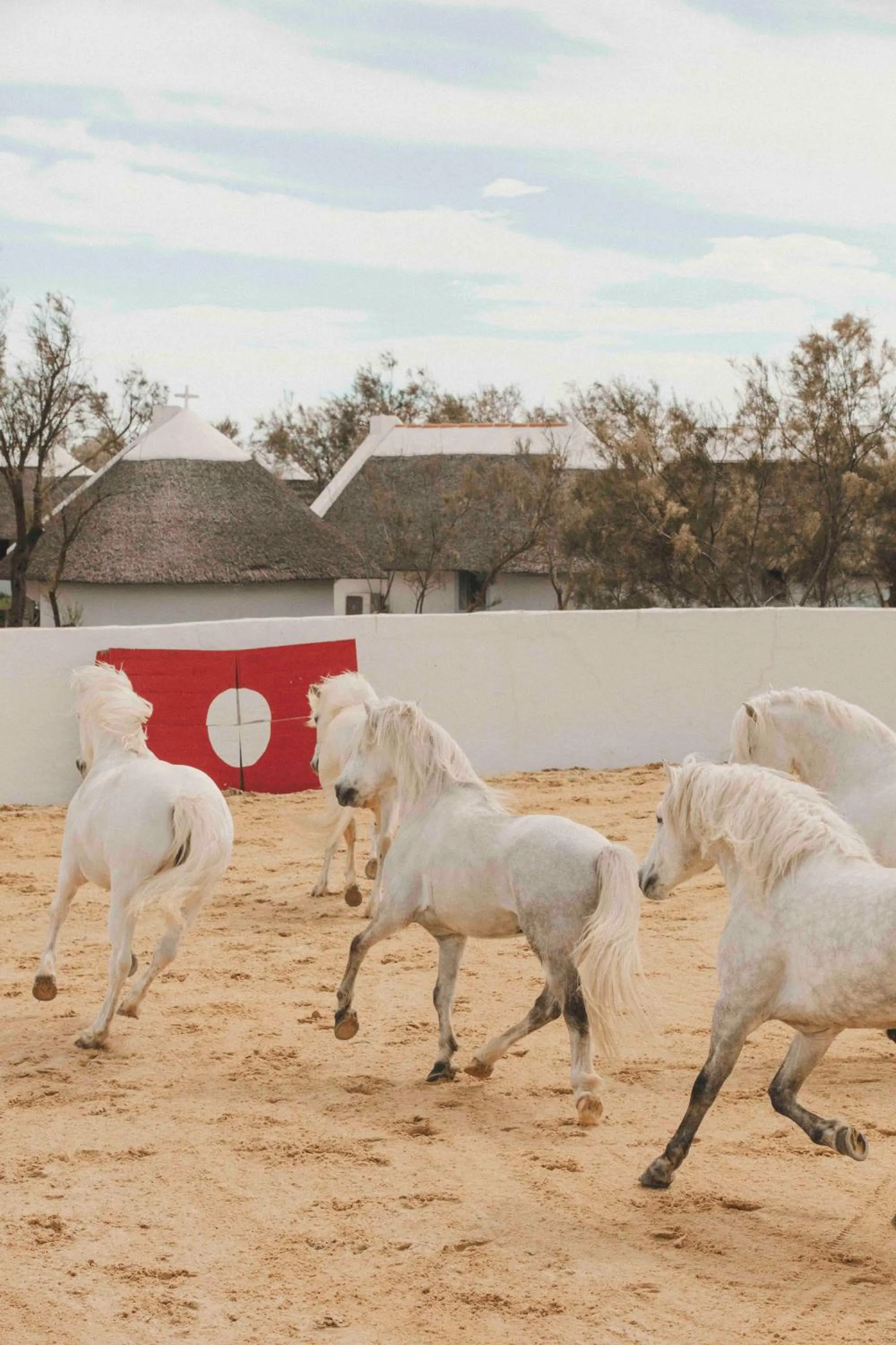 Day in Les Bains Gardians