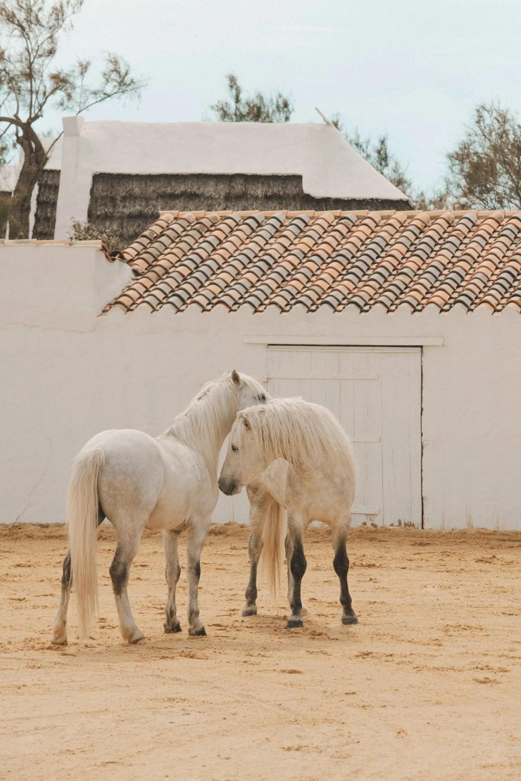 Day in Les Bains Gardians