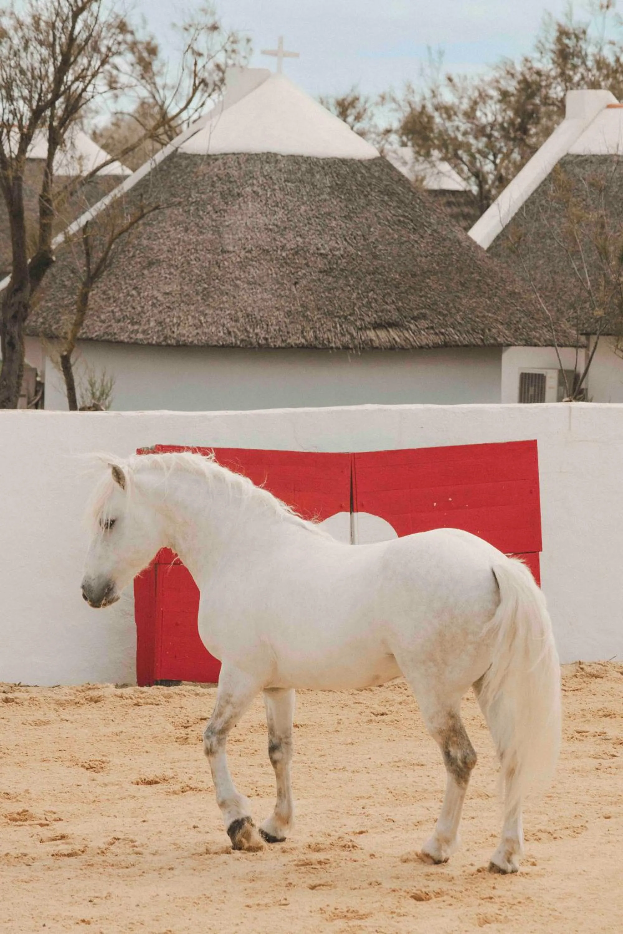 Day in Les Bains Gardians