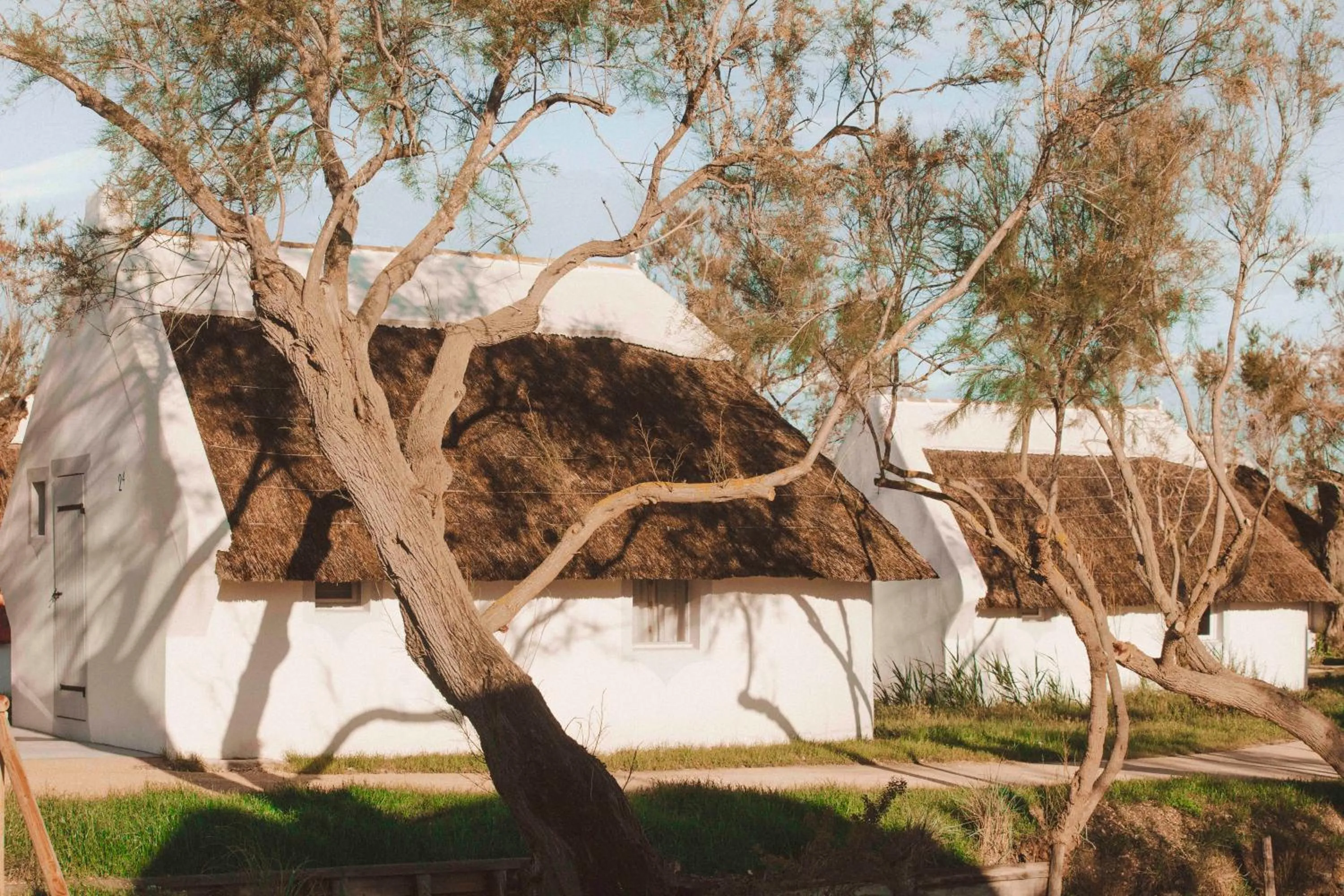 Day in Les Bains Gardians