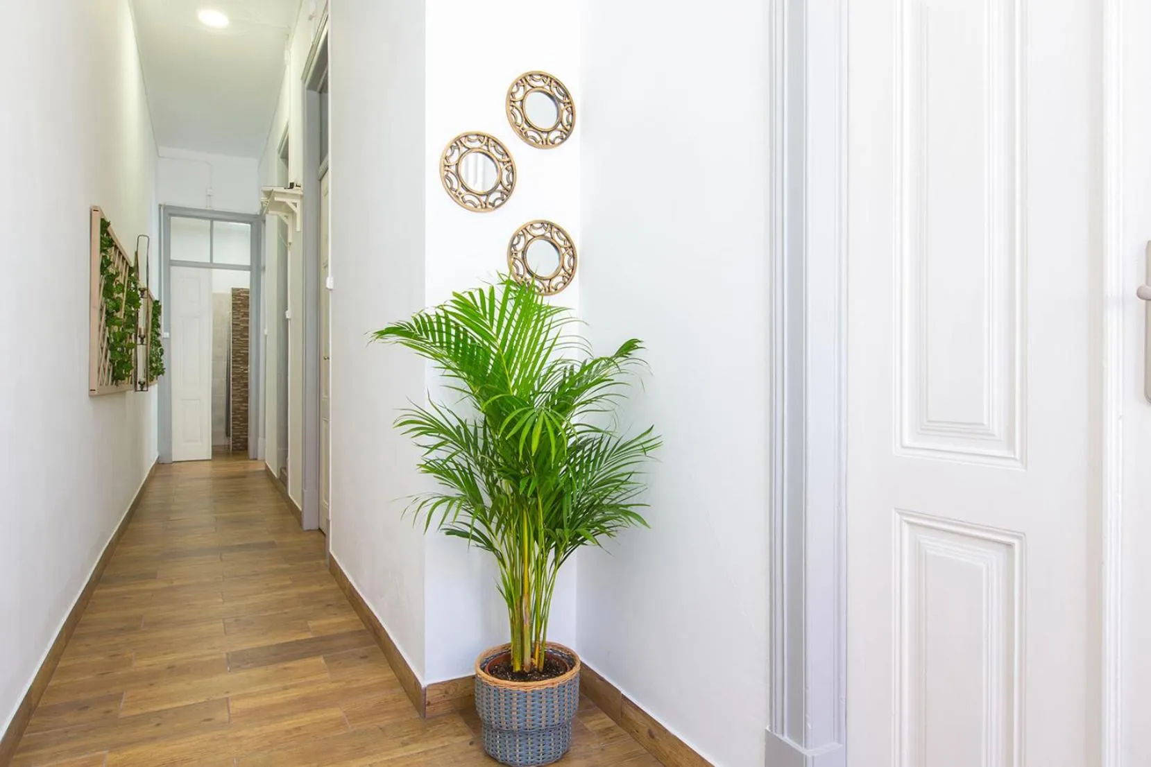 Facade/entrance in Faro Cosy Guesthouse