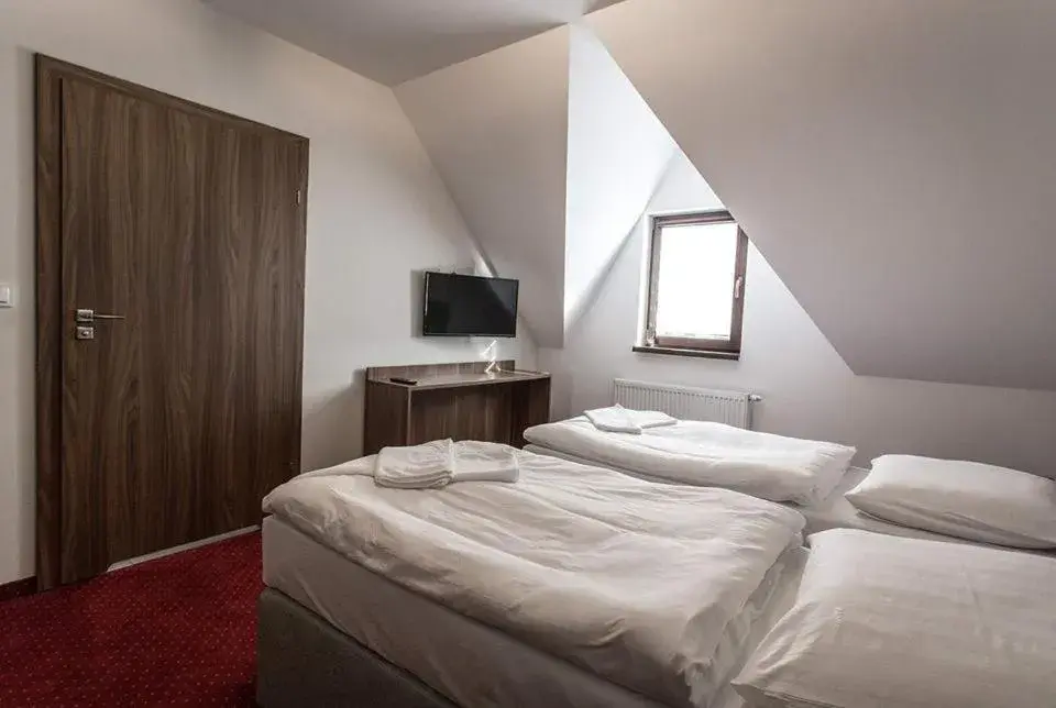 Double Room in Noclegi Gawra Double Room in Noclegi Gawra