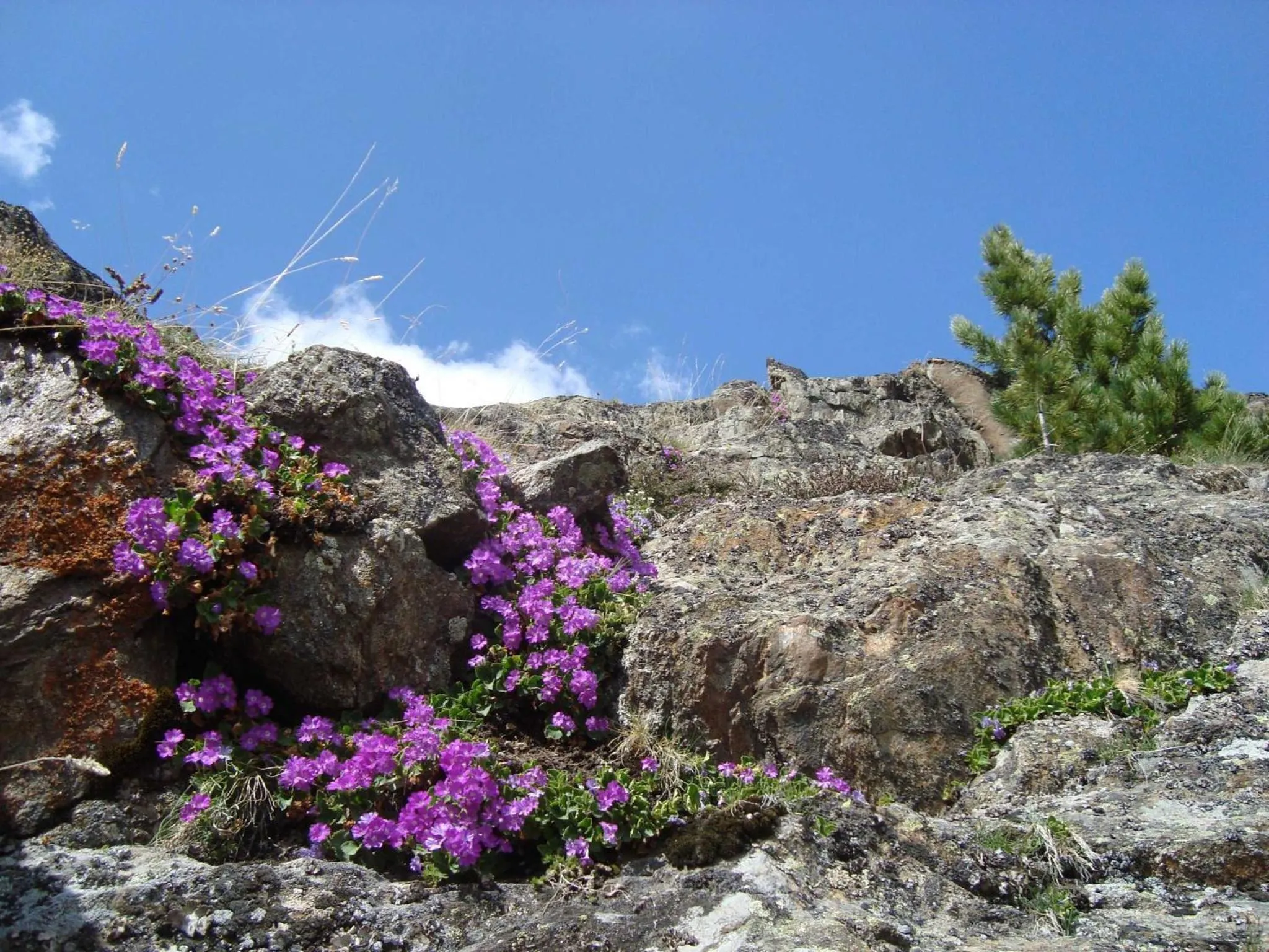 Area and facilities in Gasthof Geierwallihof Klotz Konrad KEG