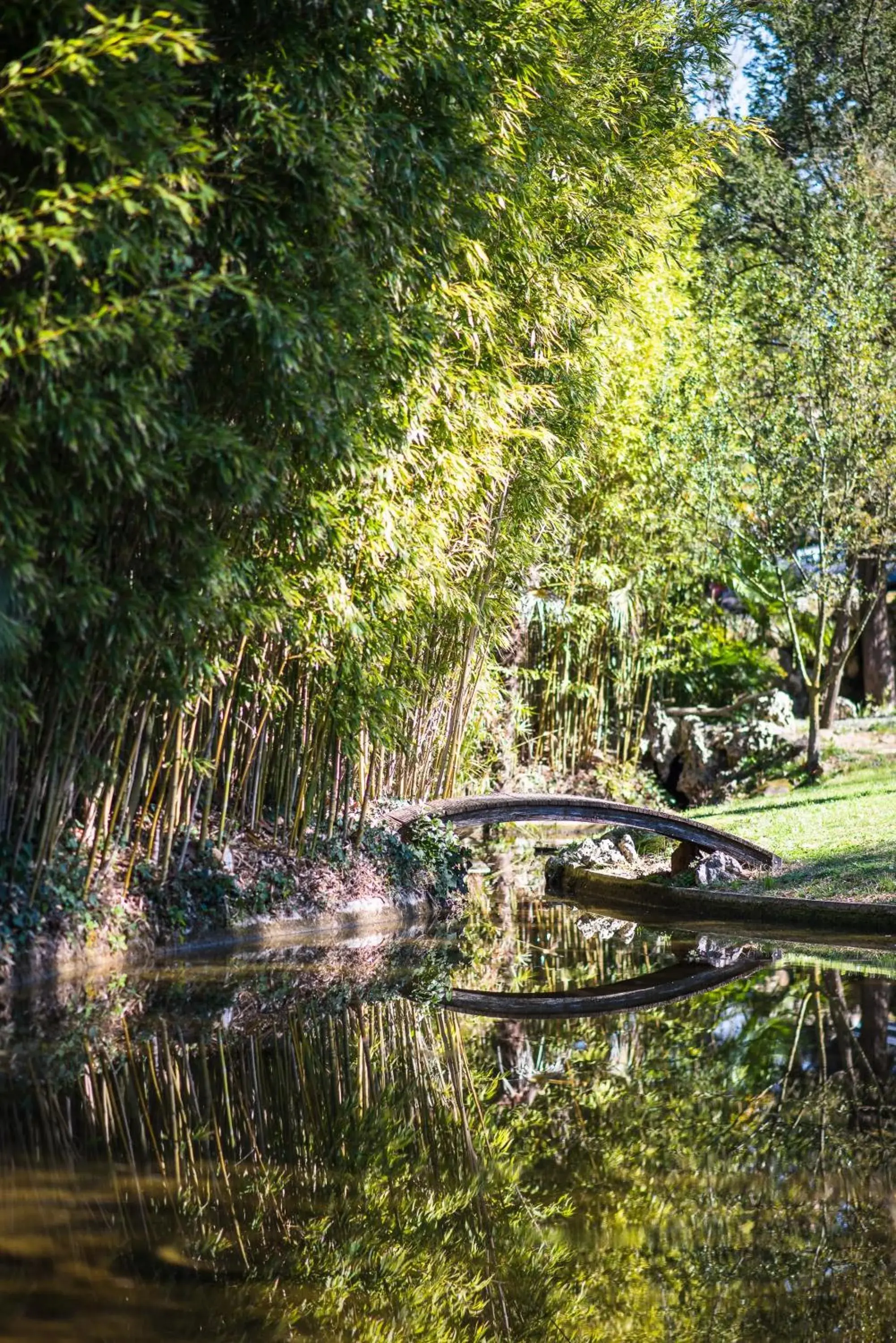 Garden in Domaine d'Auriac - Relais & Châteaux