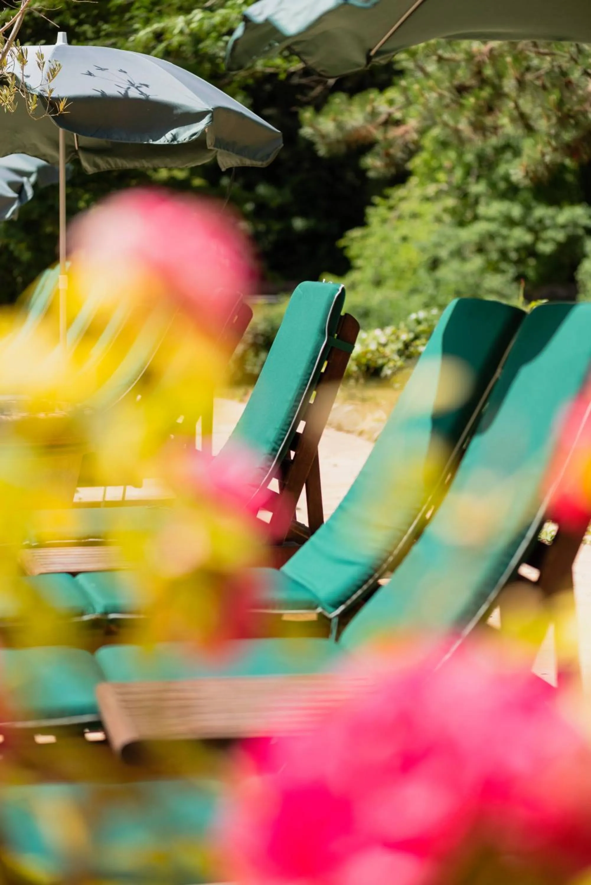 Swimming pool in Domaine d'Auriac - Relais & Châteaux