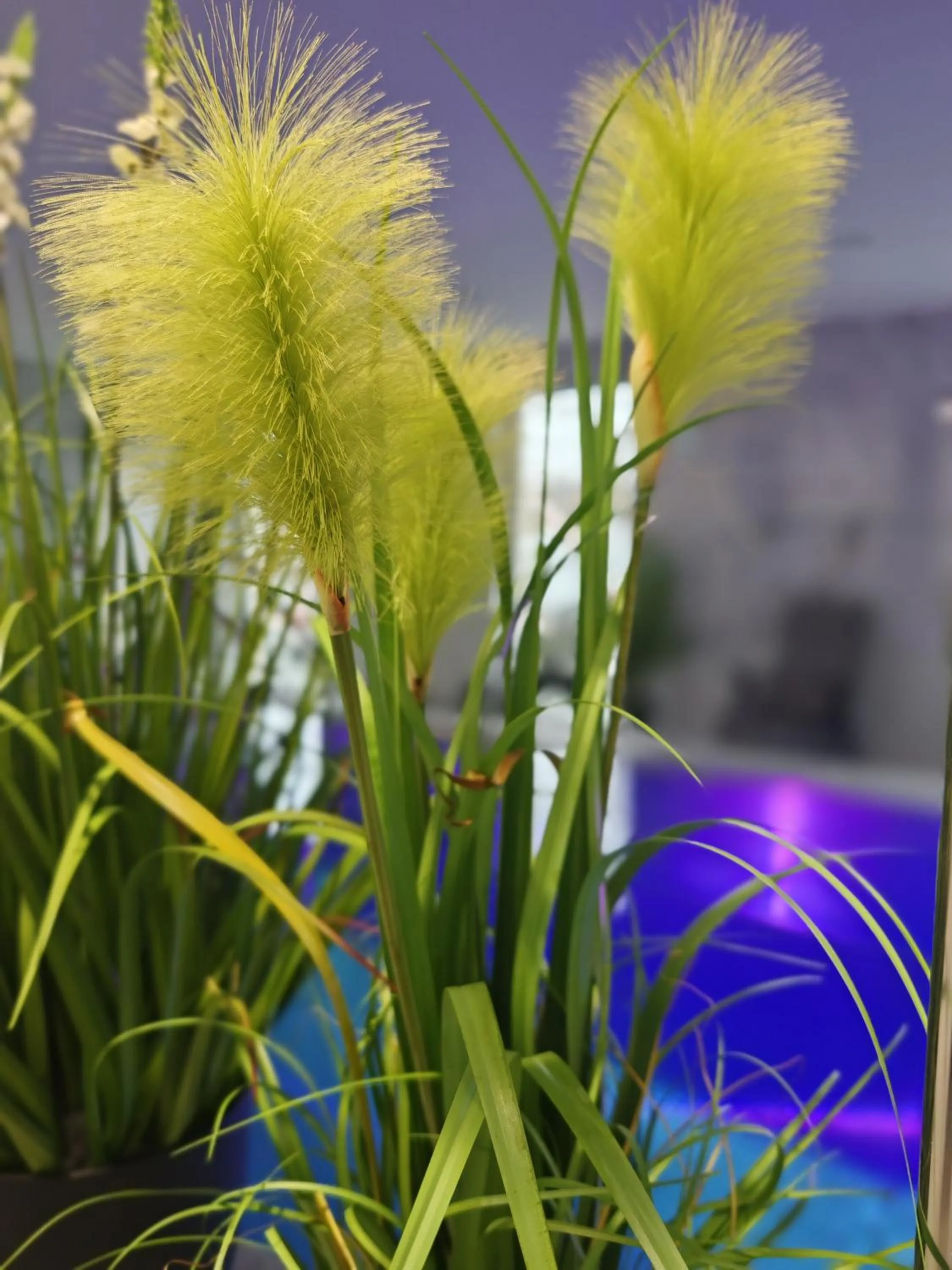 Strandhotel Buckow Resort & SPA gut-Hotels SEE