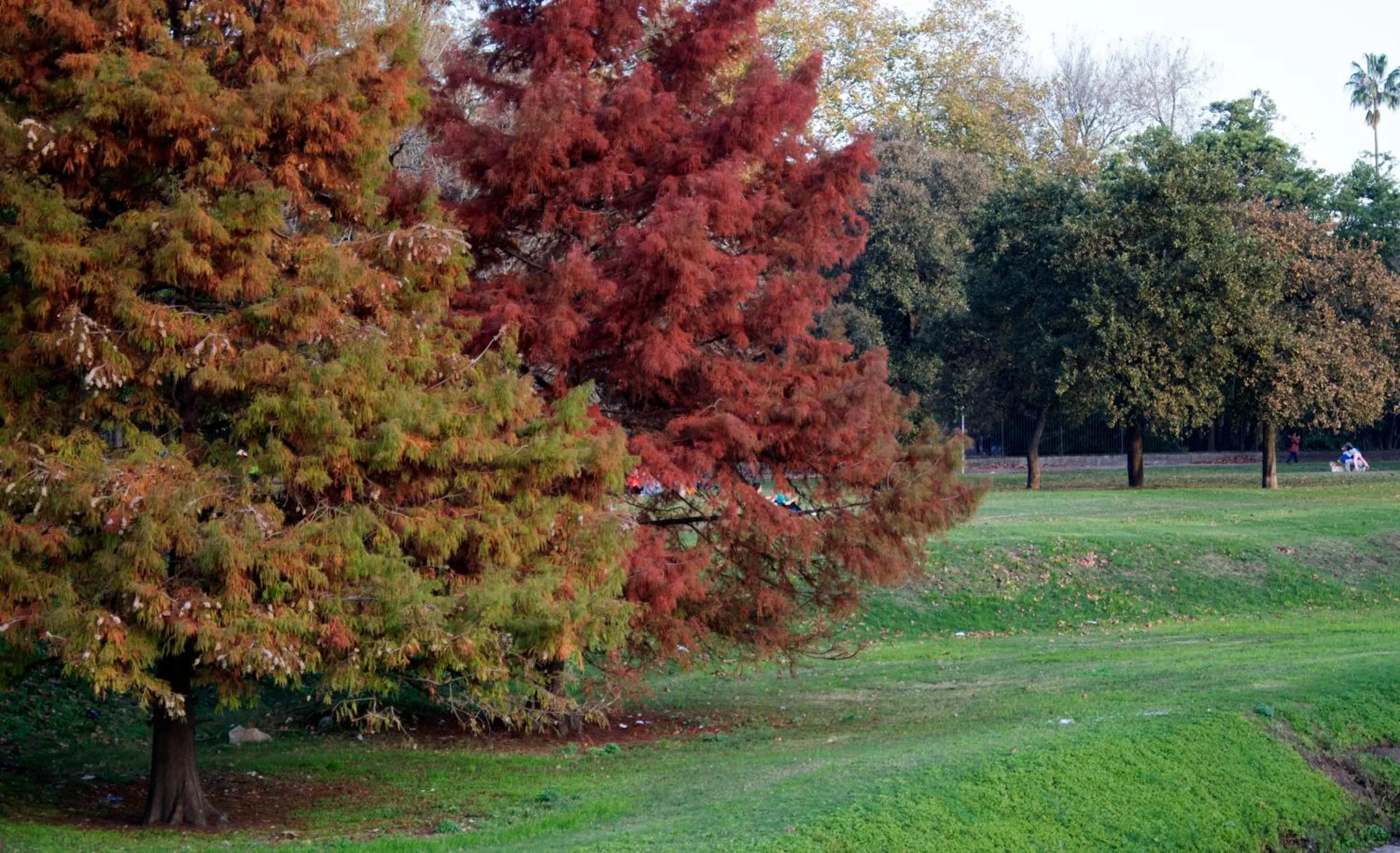 Neighbourhood in Cane B&B