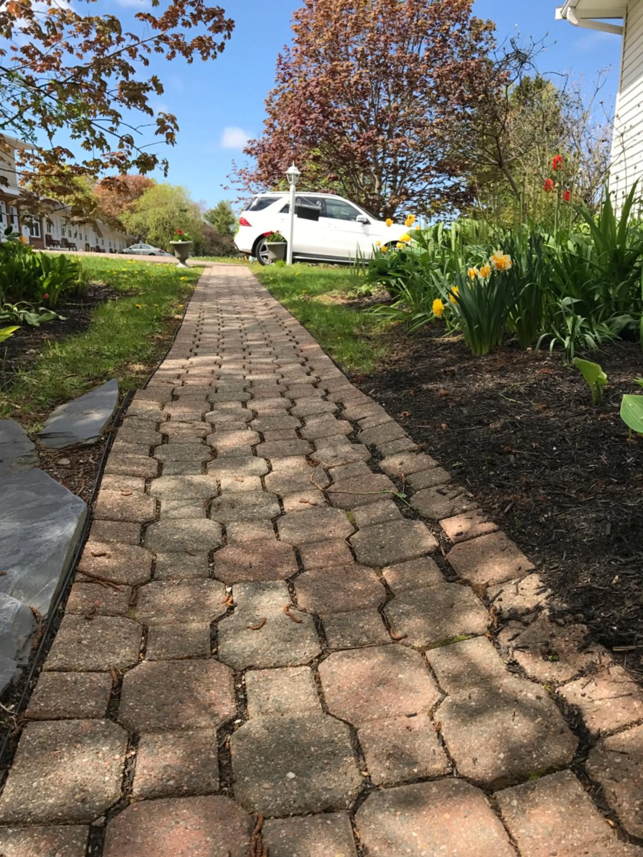 Garden view in Fair Isle Motel