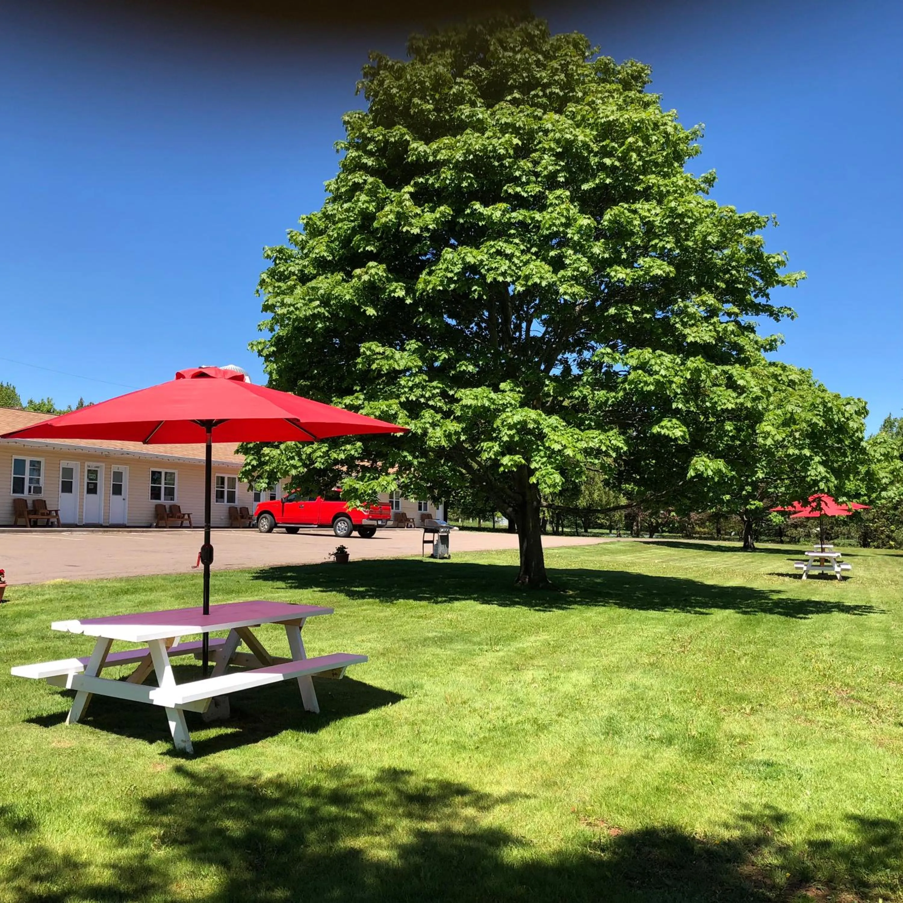 Garden view in Fair Isle Motel
