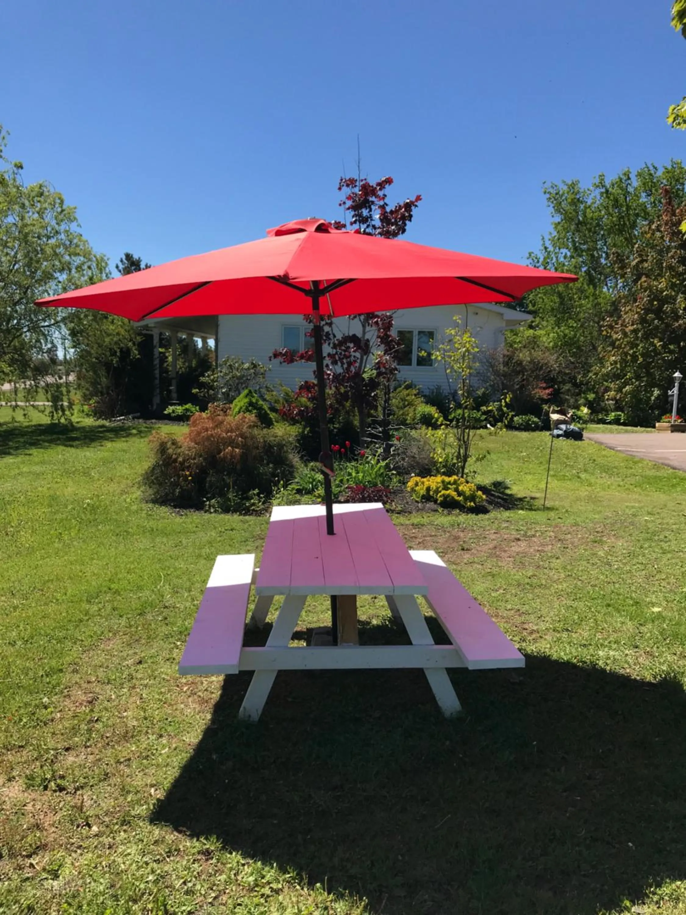 Garden view in Fair Isle Motel