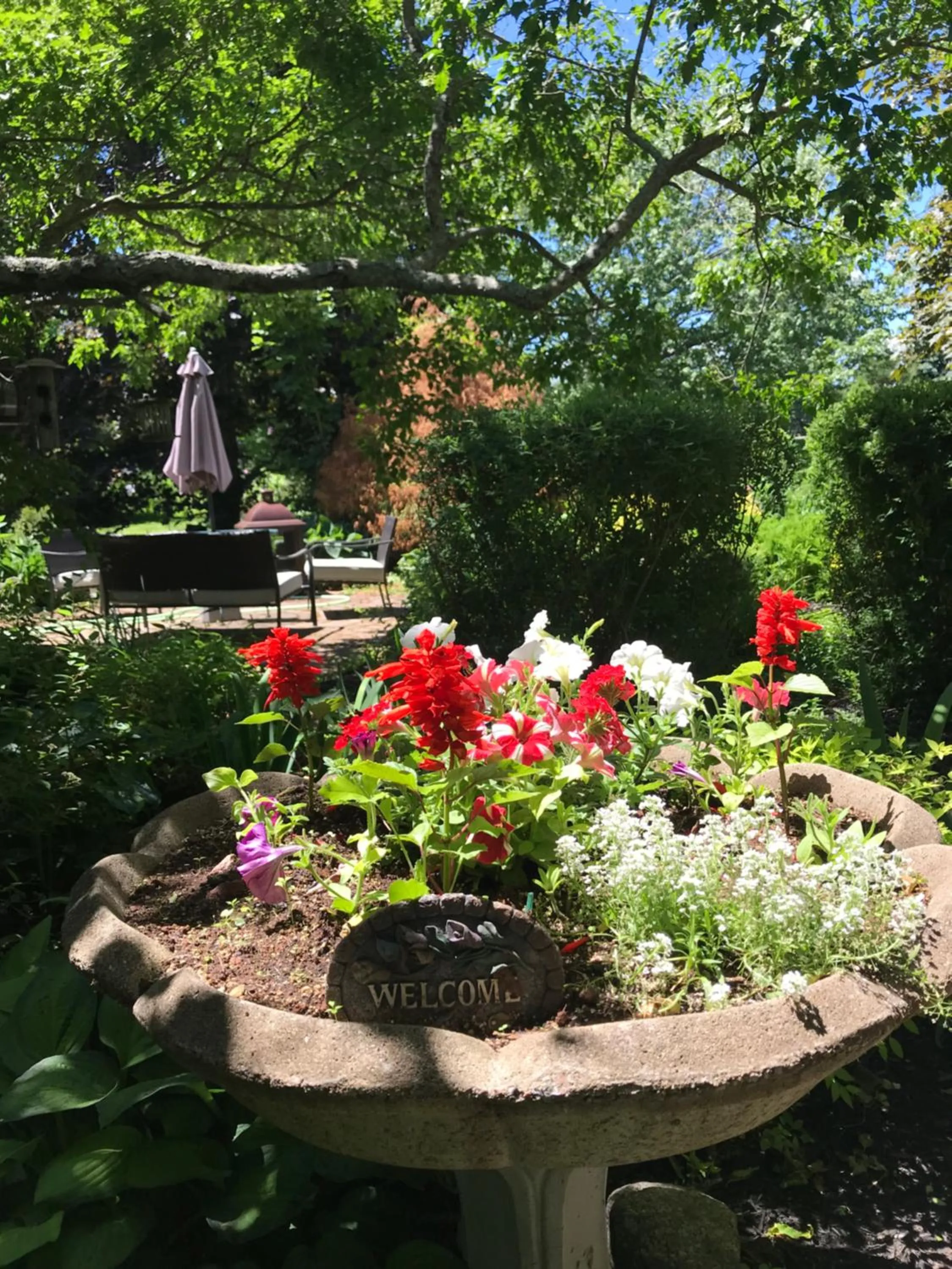 Garden view in Fair Isle Motel