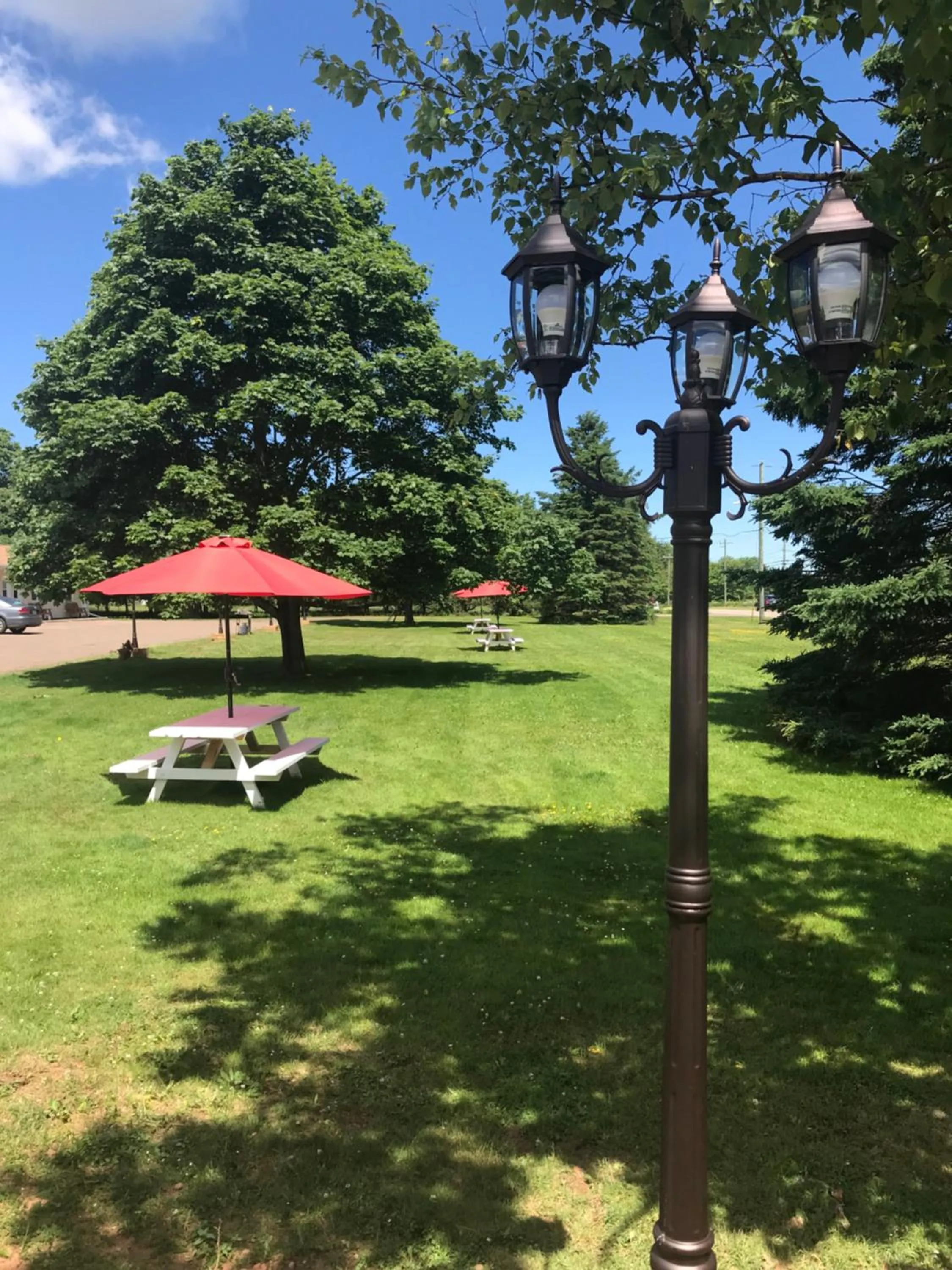 Garden view in Fair Isle Motel