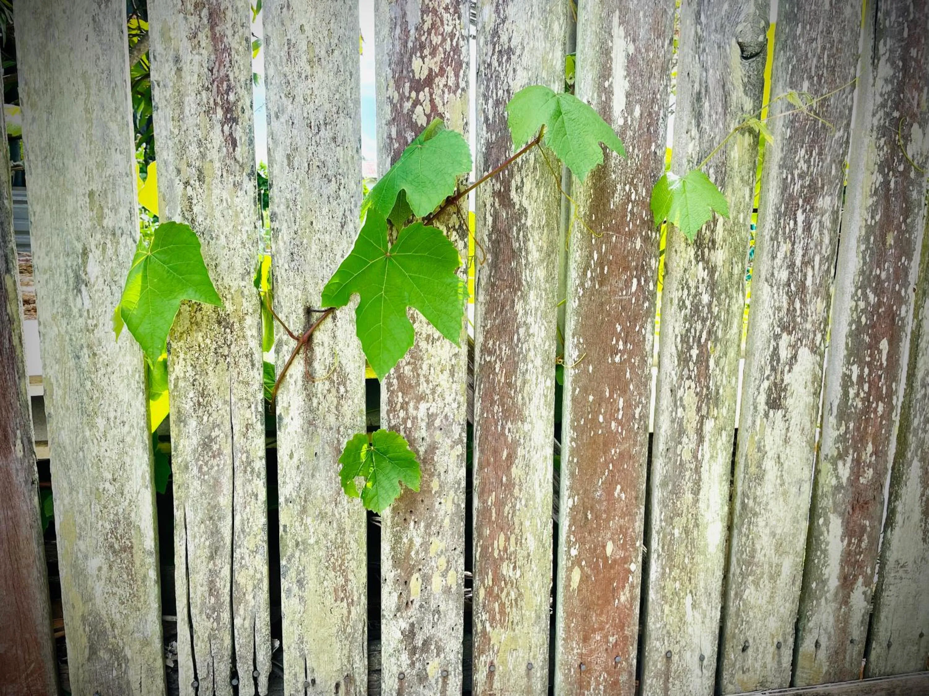 Churchill's B&B twin spa getaway Studio