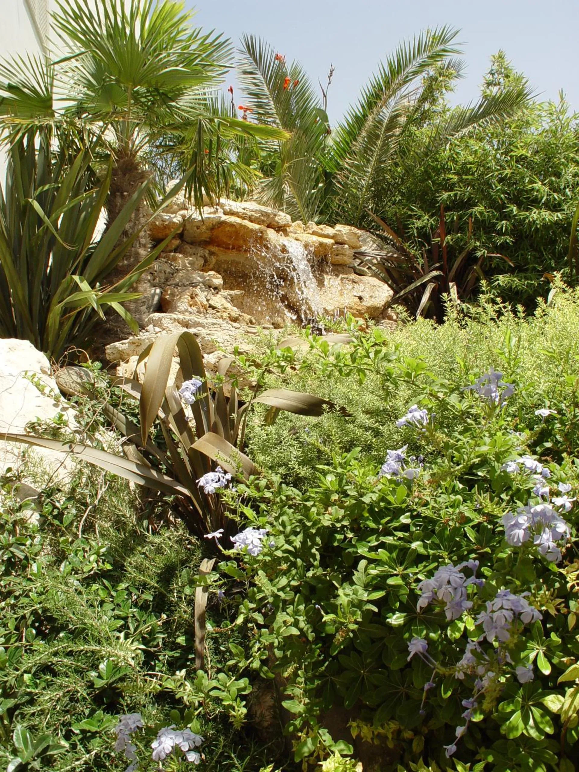 Garden in Sitia Bay