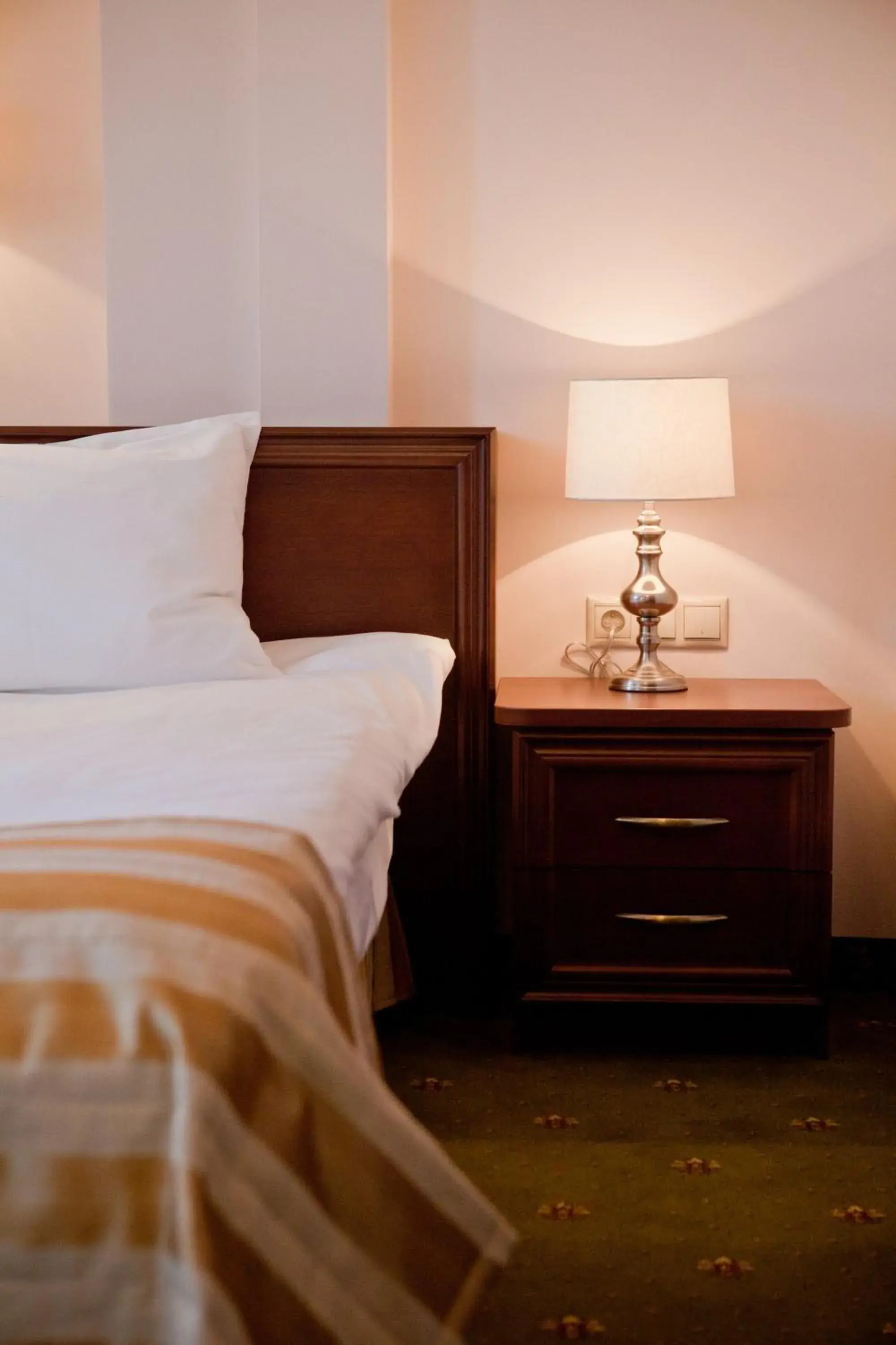 Single Room in Hotel Masovia Single Room in Hotel Masovia