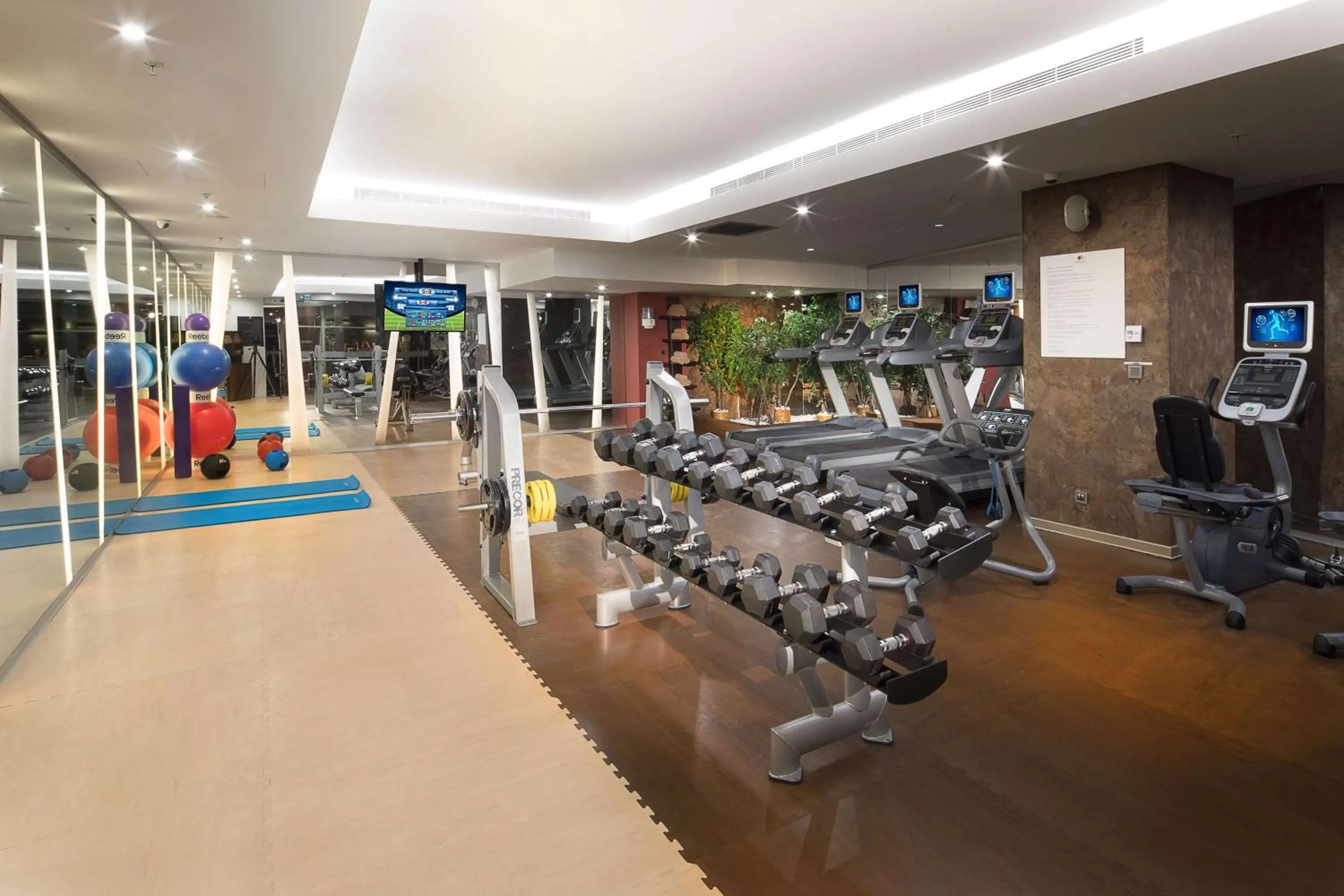 Fitness centre/facilities in DoubleTree By Hilton Istanbul - Old Town
