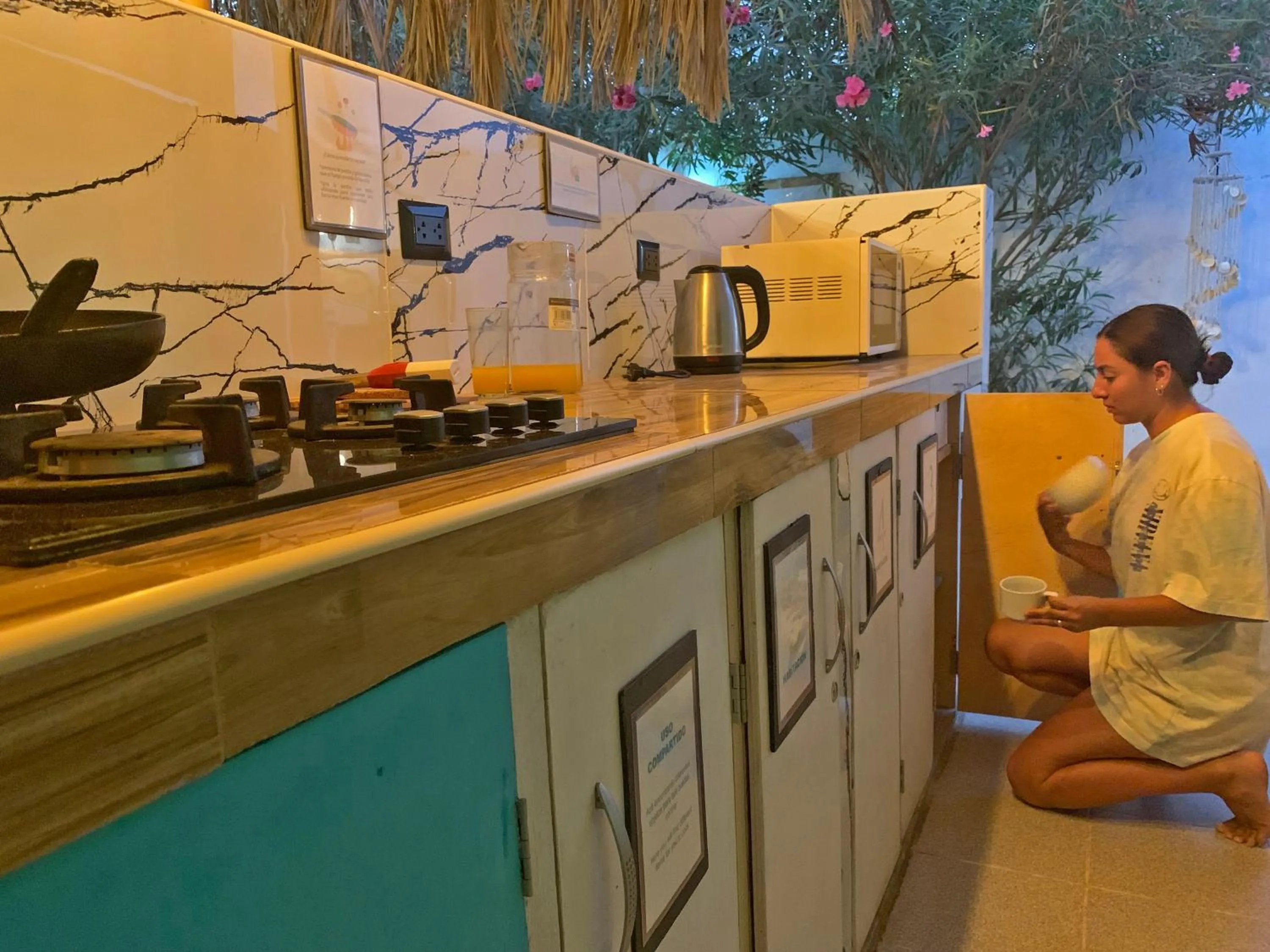 Kitchen or kitchenette in Puerto Bamboo