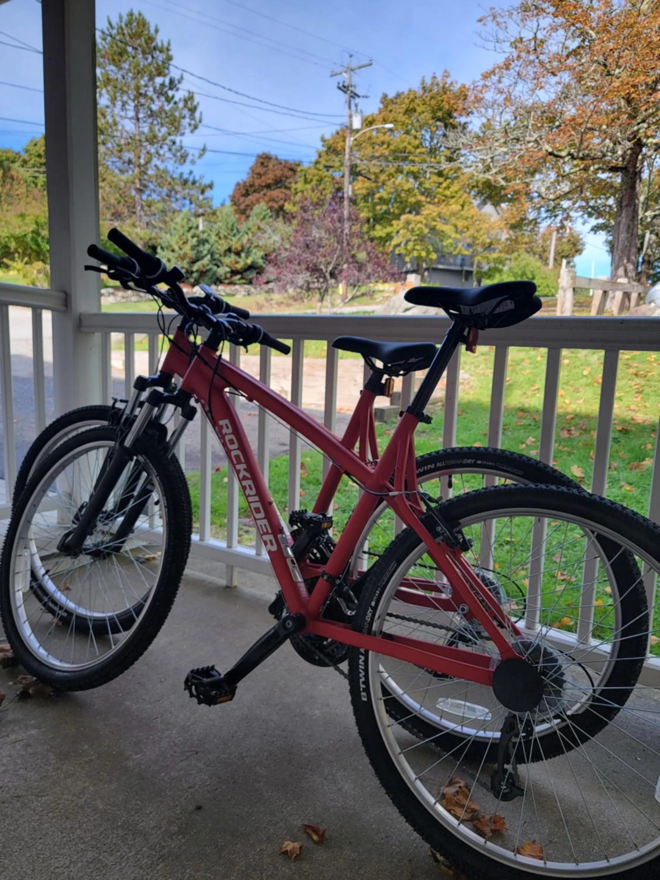 Activities in East Wind Inn & Suites