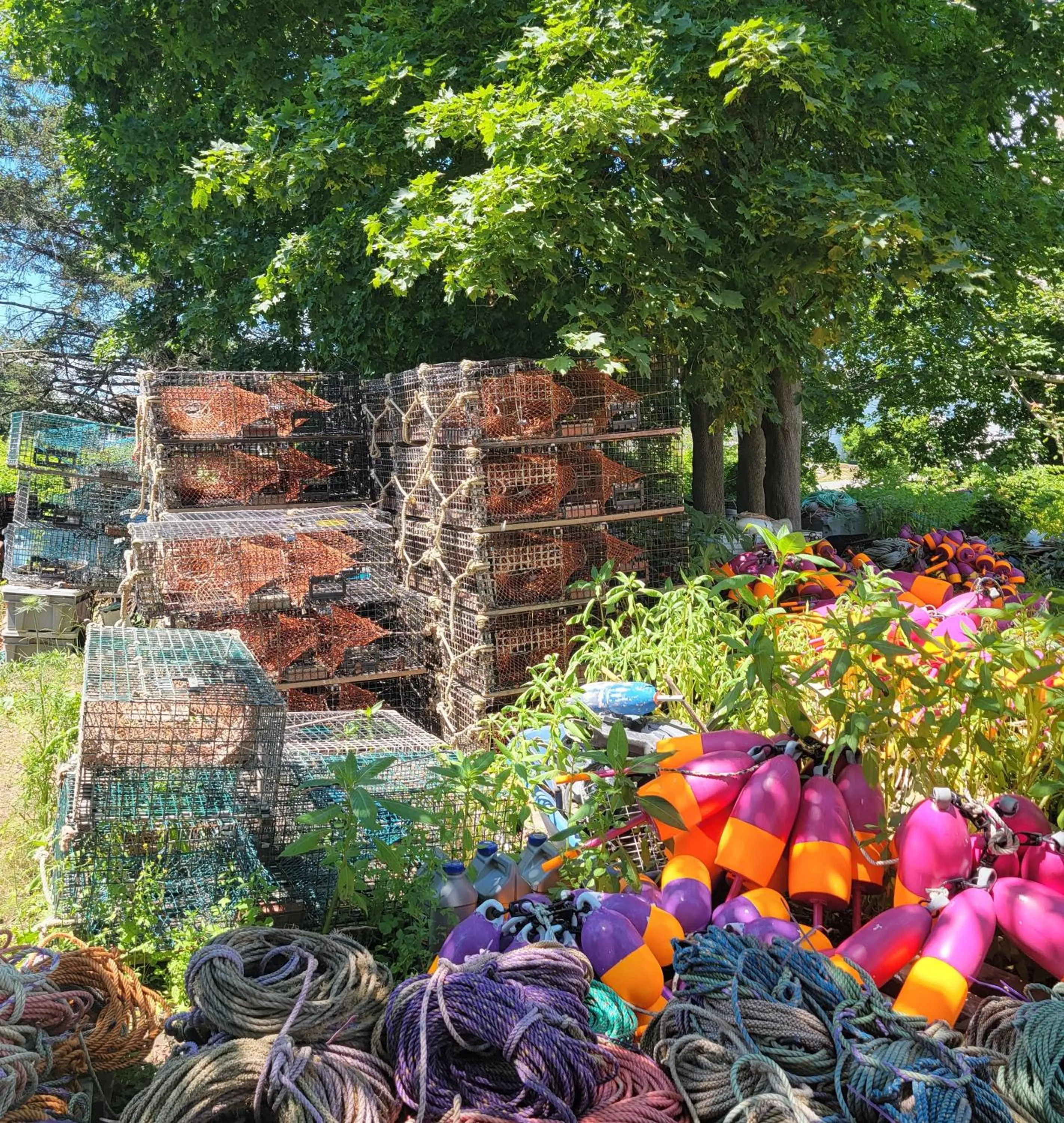 Entertainment in East Wind Inn & Suites