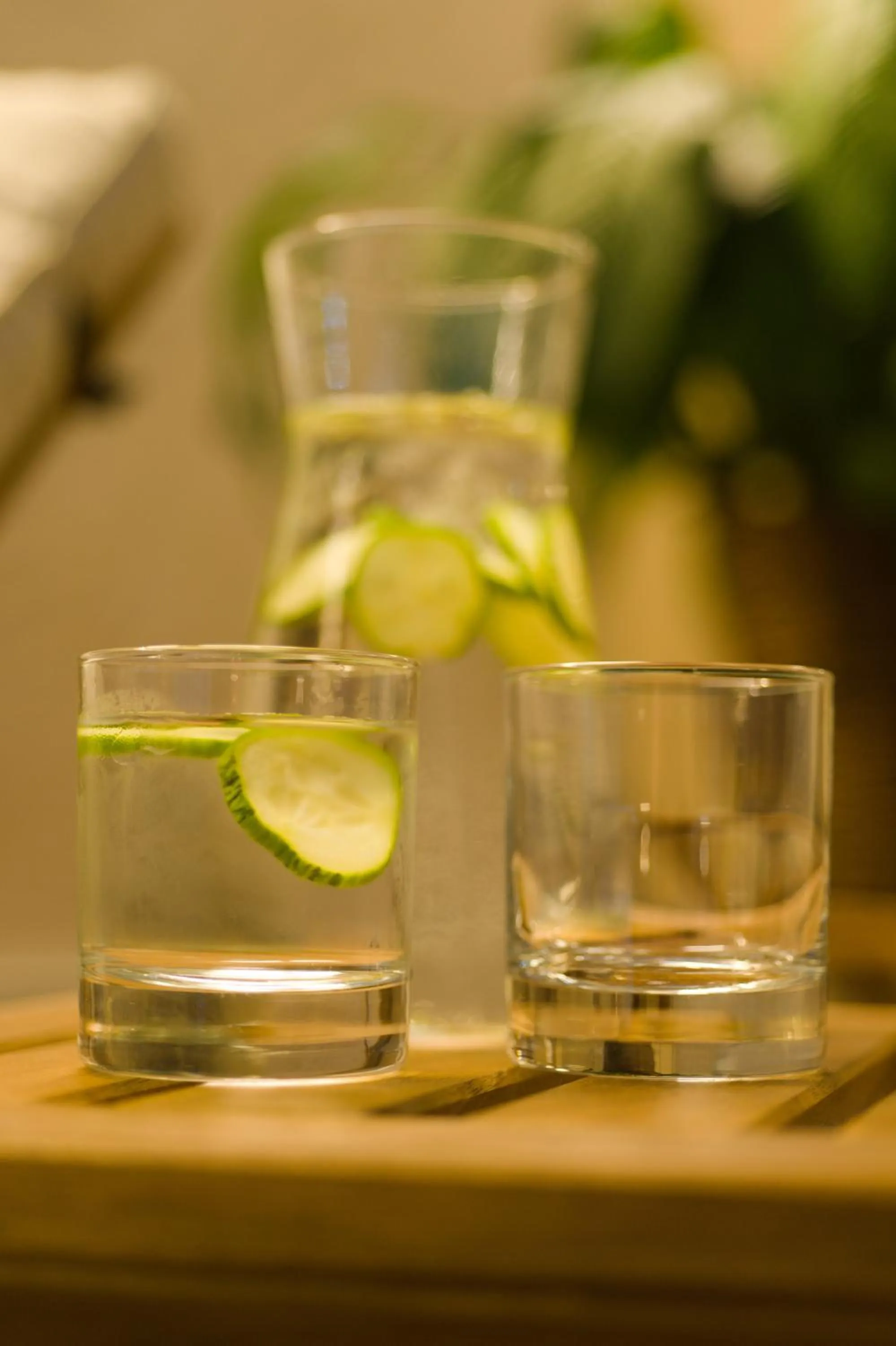 Food and drinks in First Hotel Witt