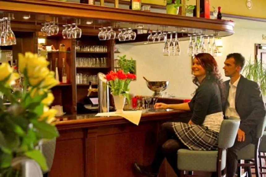 Lounge or bar in Elbhotel Bad Schandau