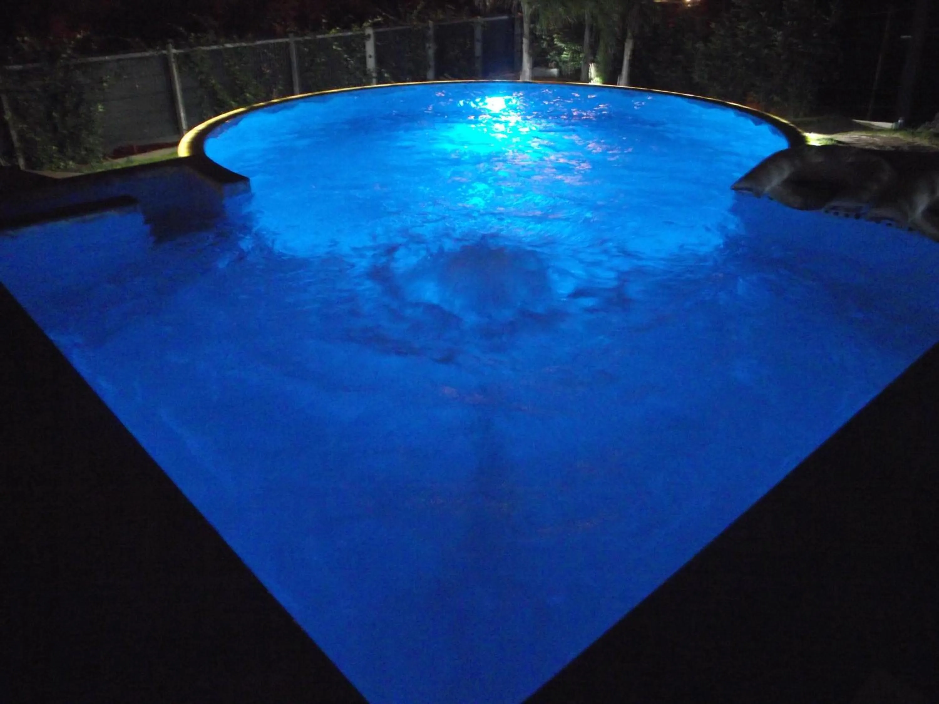 Swimming pool in Le Vele