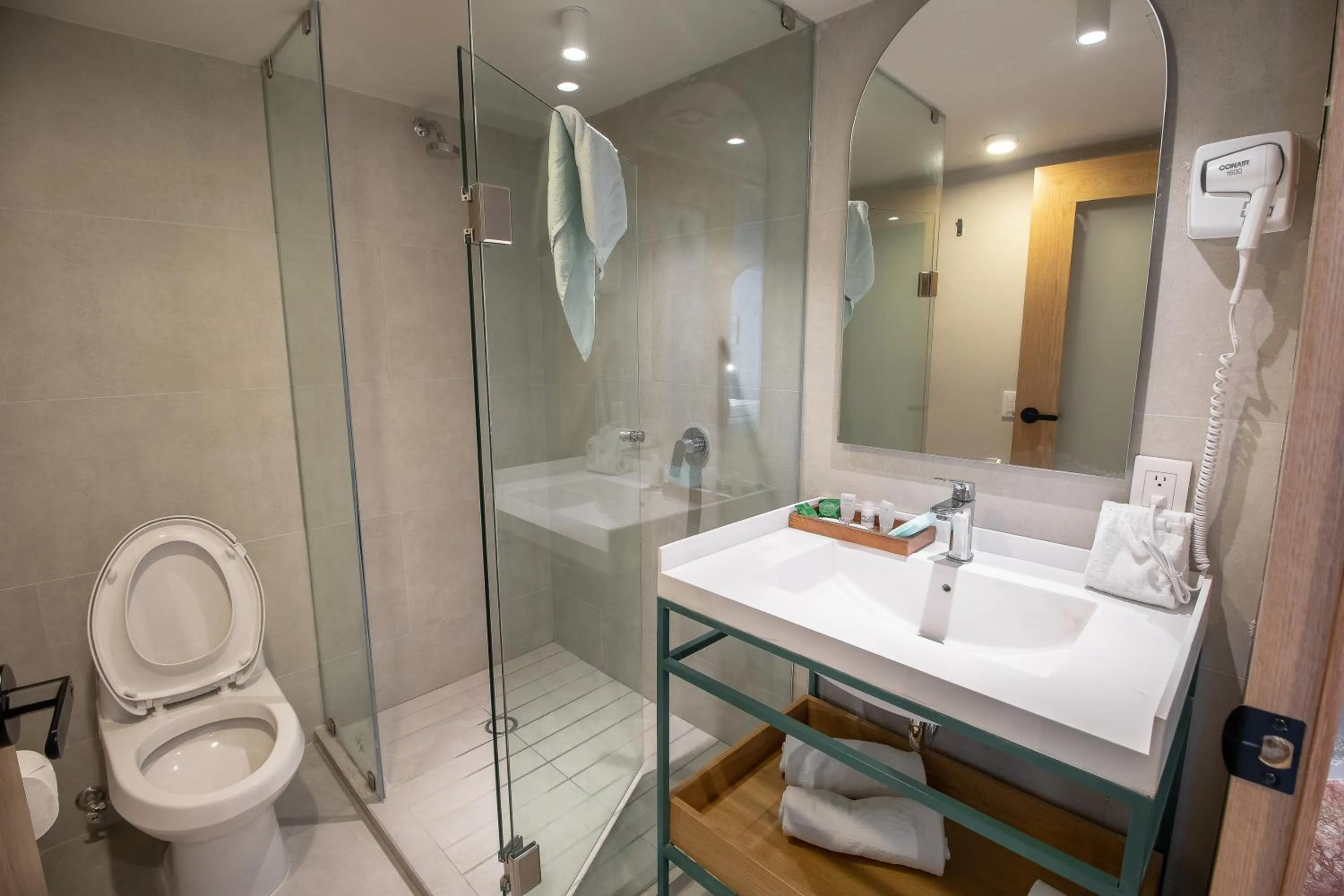 Shower in Hotel Fuente Del Bosque