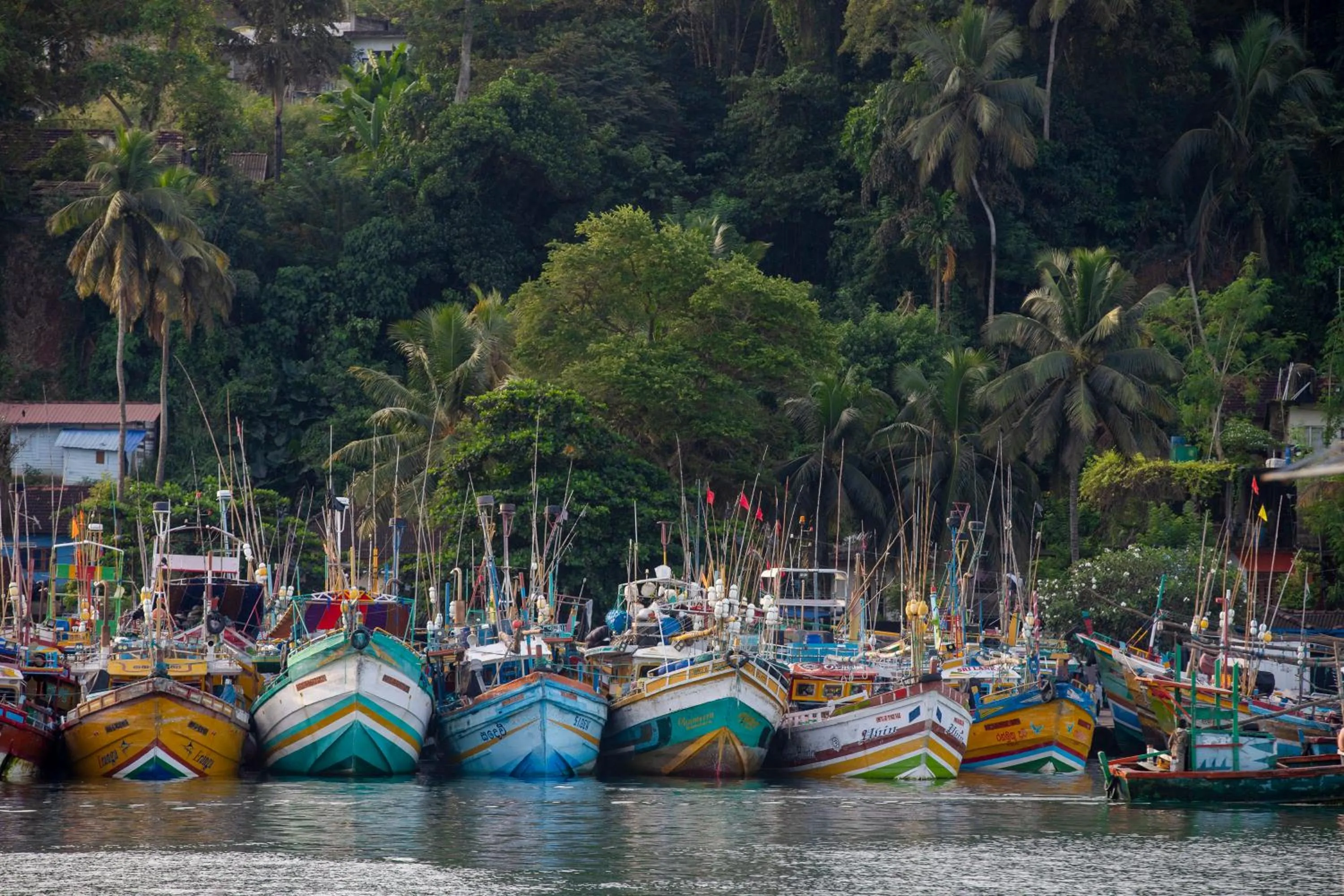 Activities in Coastal Villa Mirissa