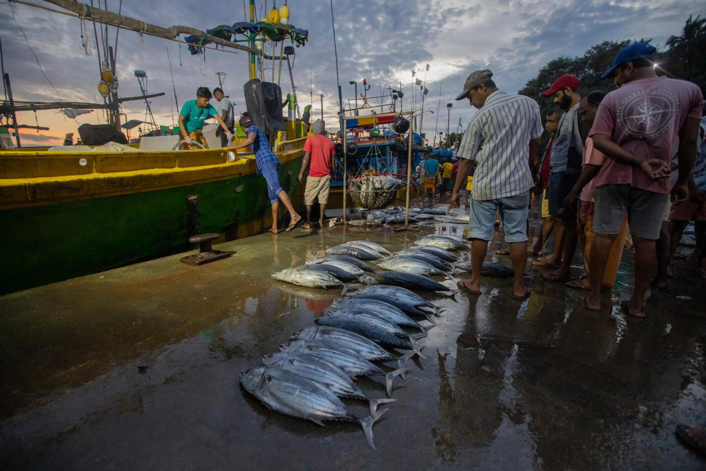 Activities in Coastal Villa Mirissa