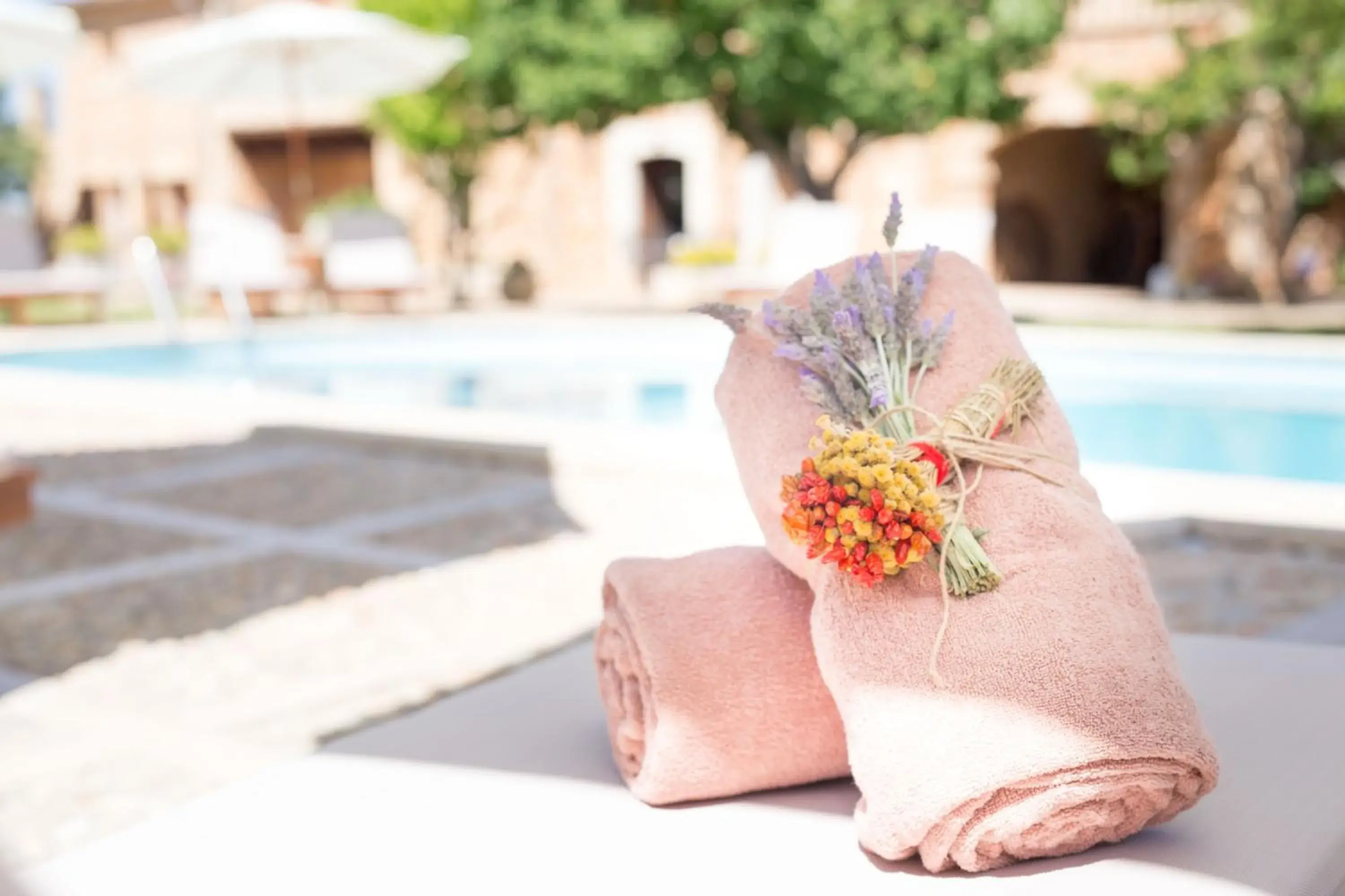 Pool view in Agroturismo Es Quatre Cantons Pool view in Agroturismo Es Quatre Cantons