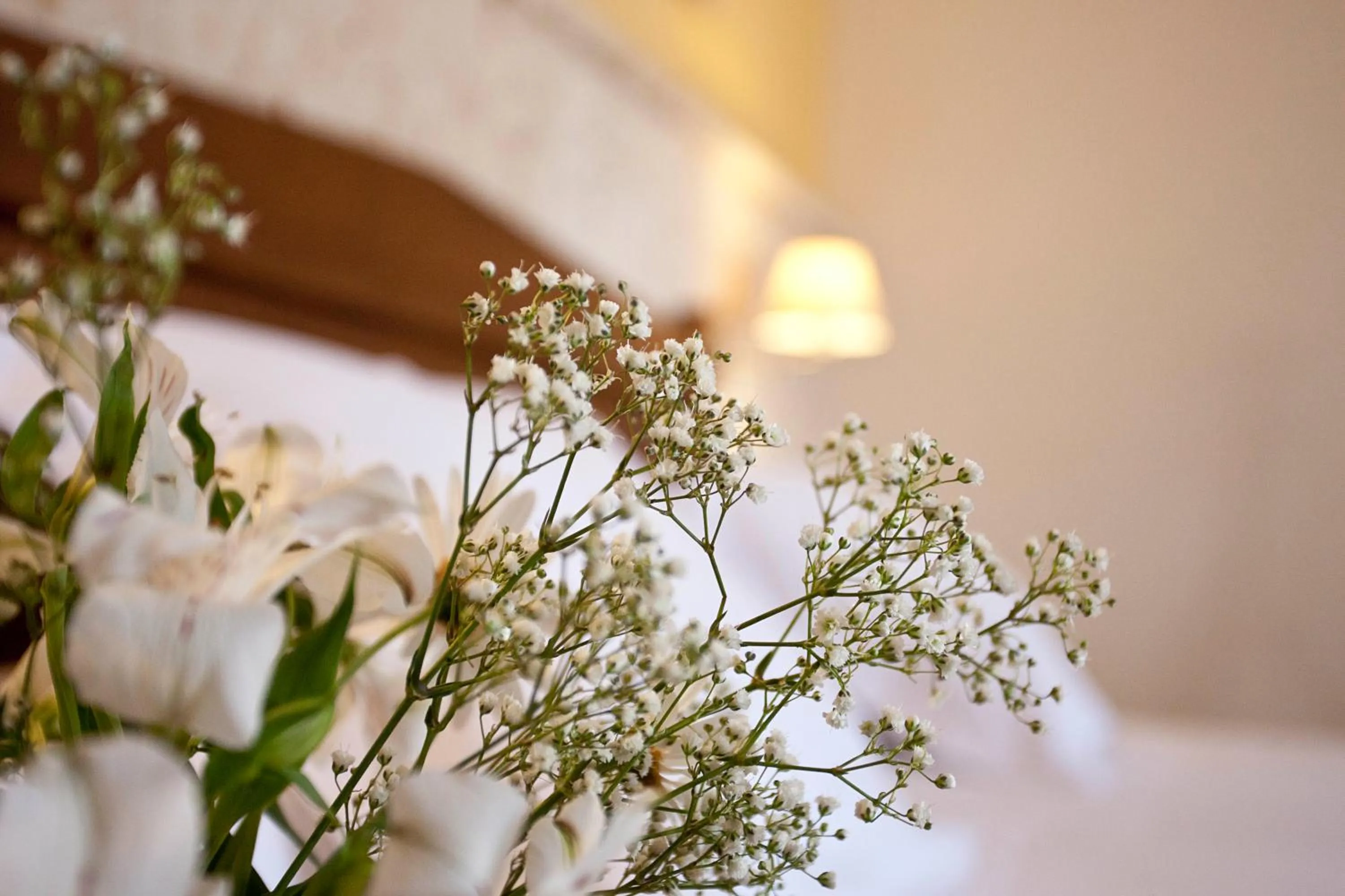 Winter, Bed in Agroturismo Es Quatre Cantons