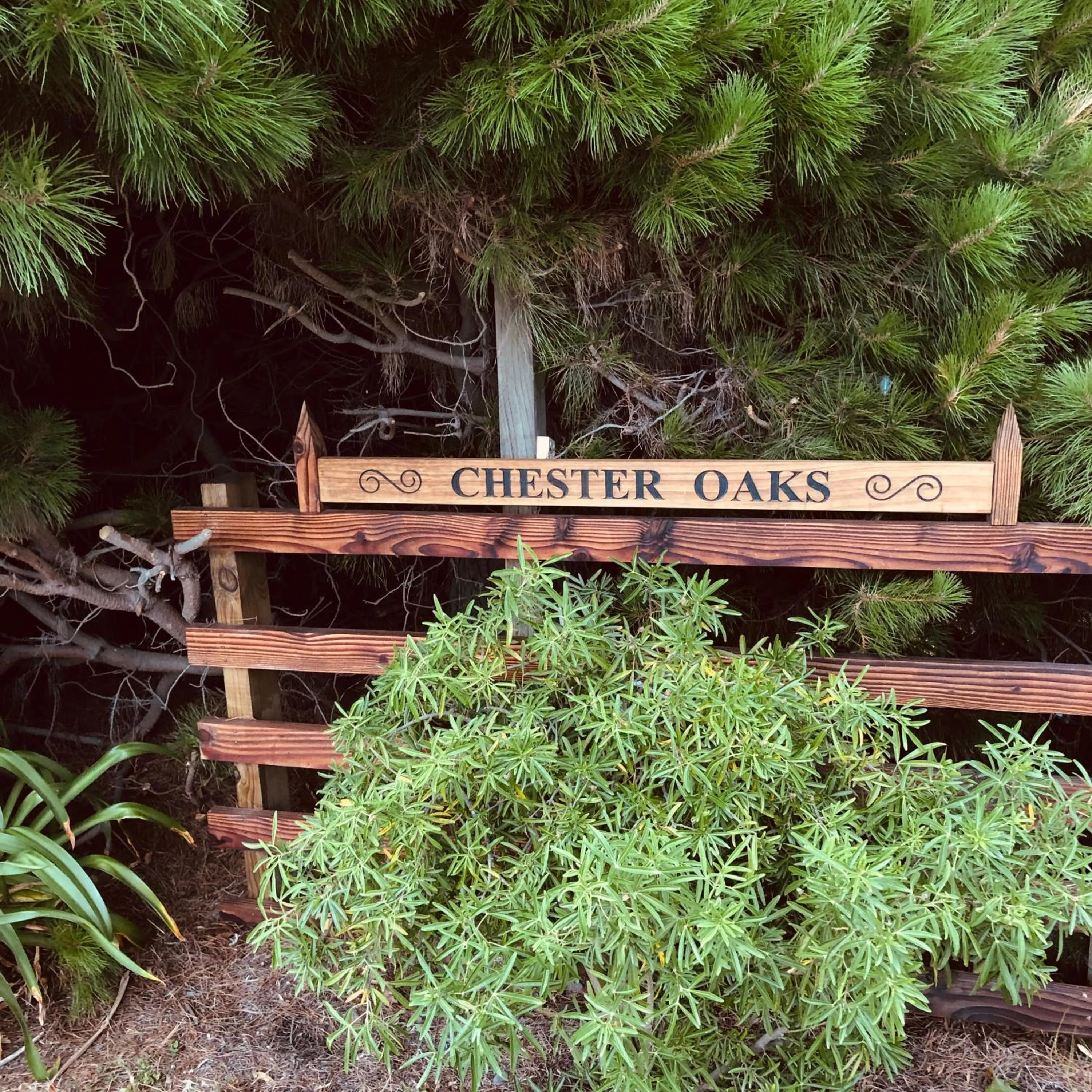 Chester Oaks B&B