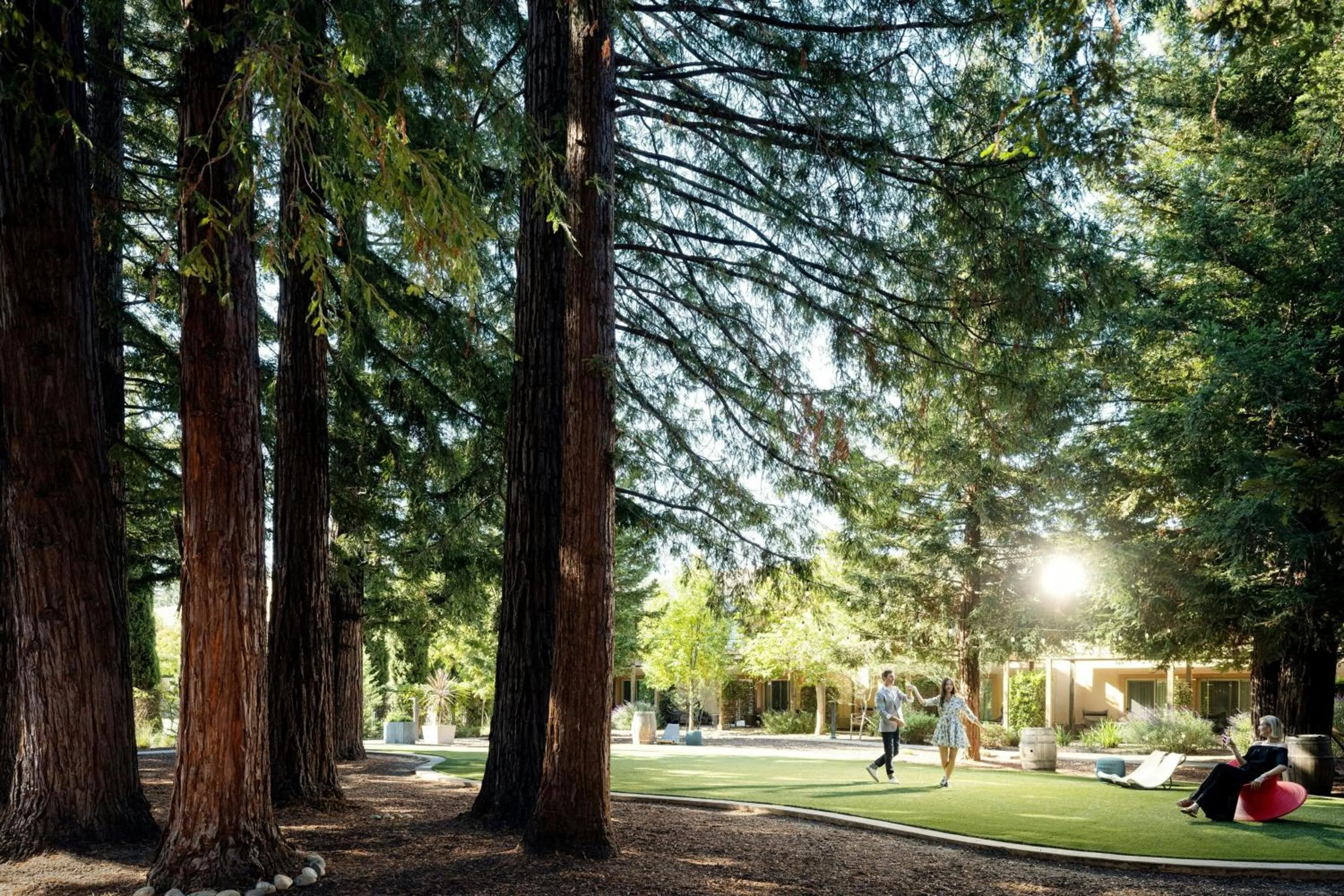 View (from property/room) in Napa Valley Marriott Hotel & Spa