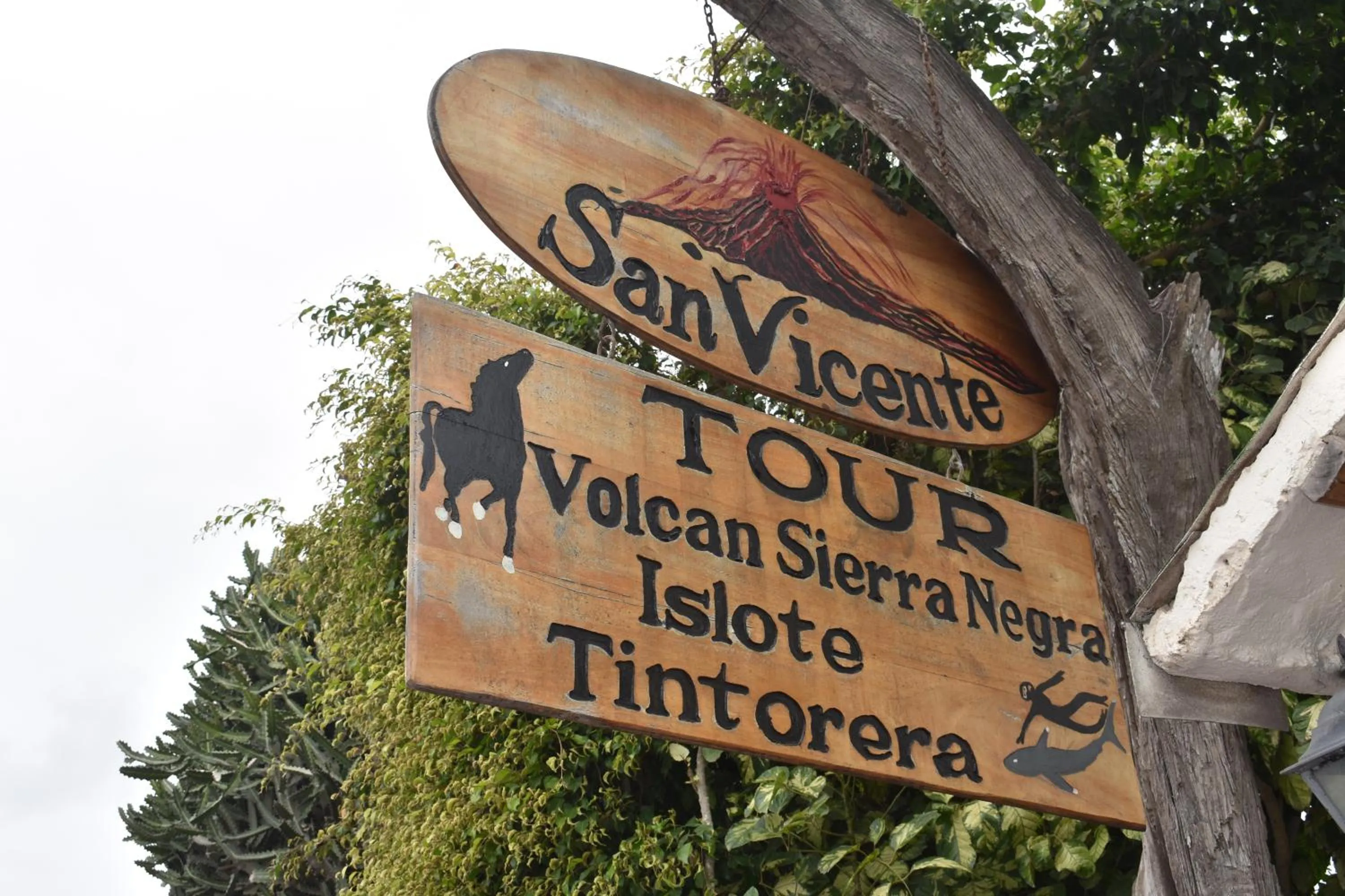 Property logo or sign in Hotel San Vicente Galapagos