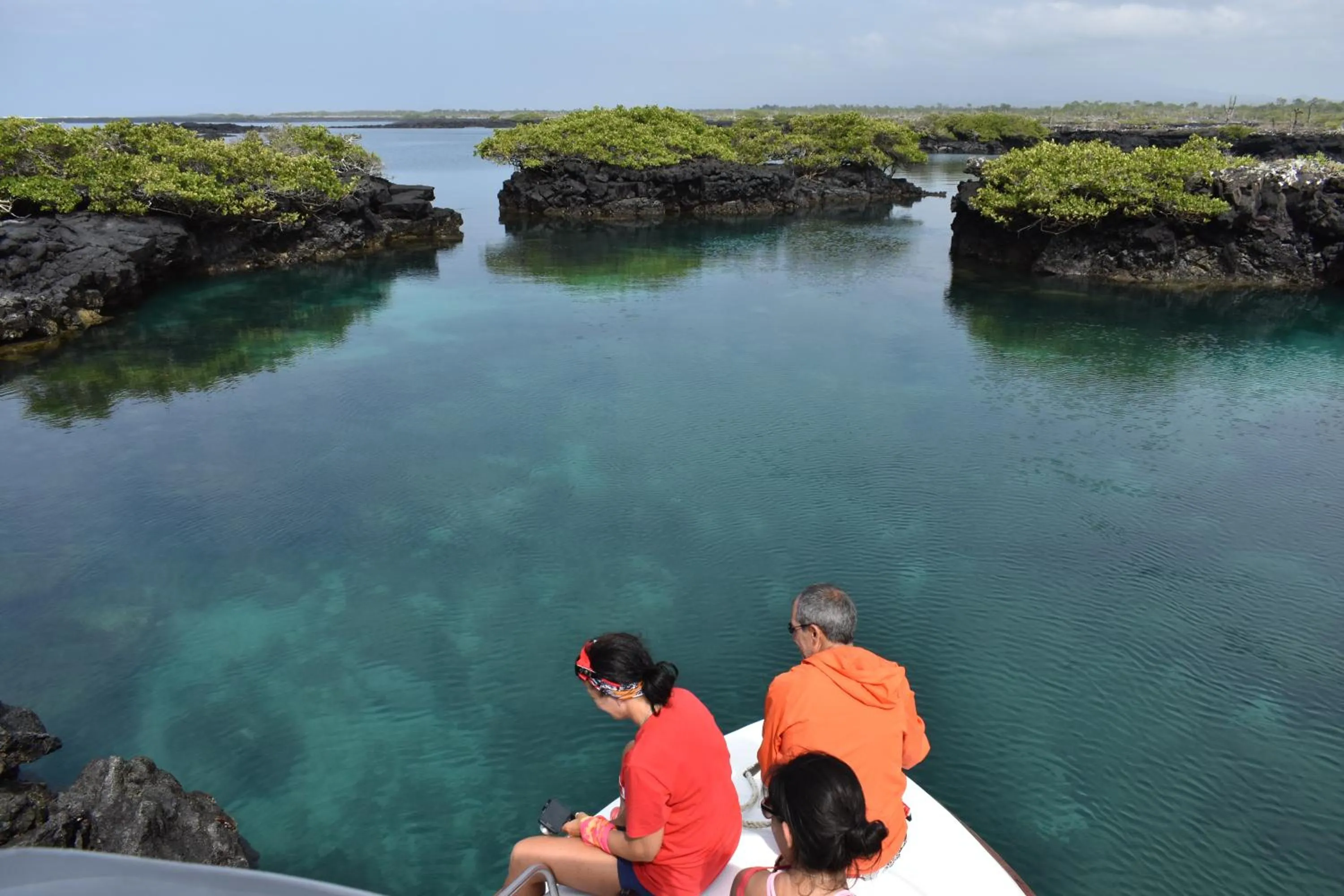 Natural landscape in Hotel San Vicente Galapagos