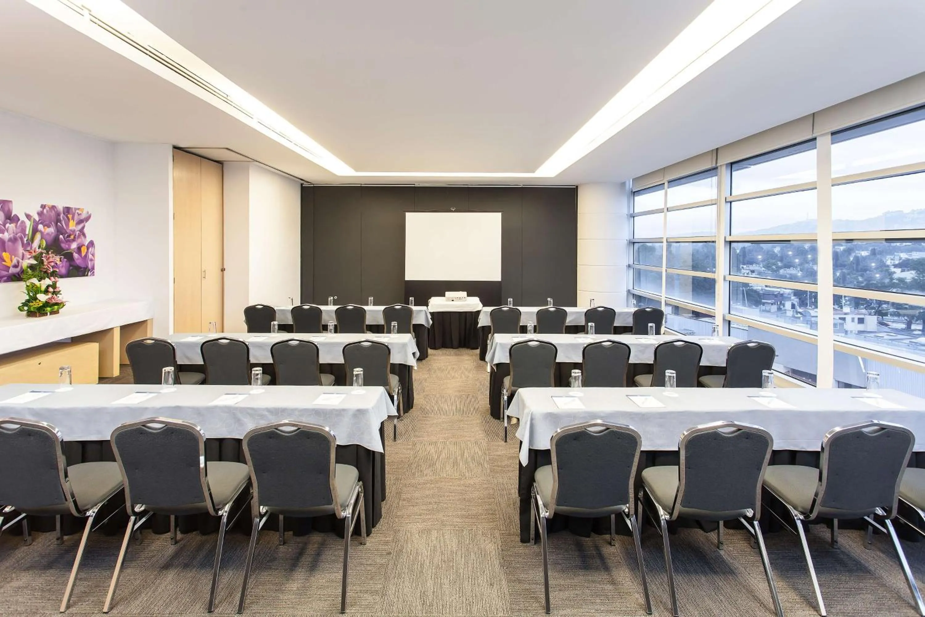 On site in NH Mexico City Valle Dorado