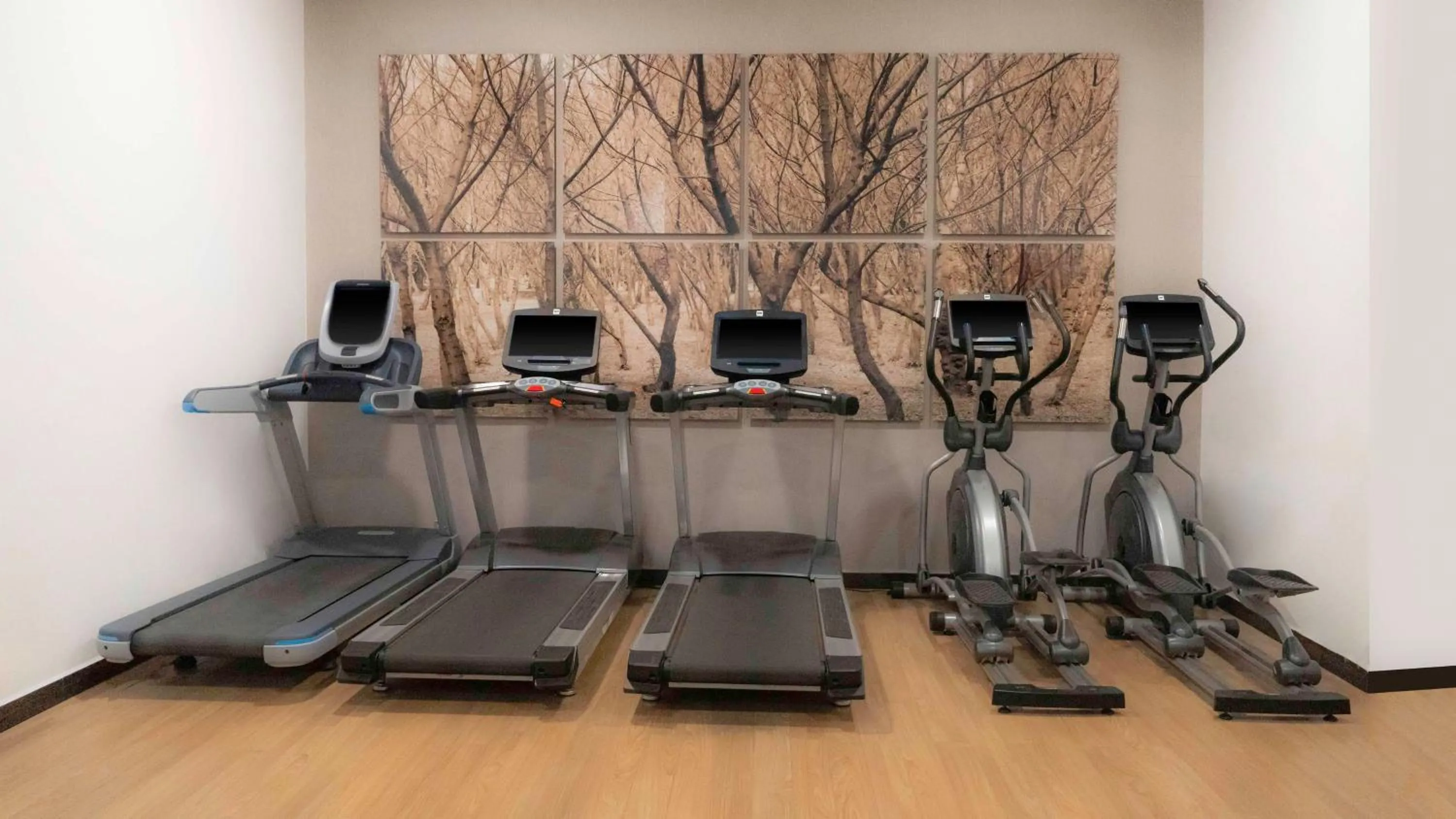 Fitness centre/facilities in NH Mexico City Valle Dorado