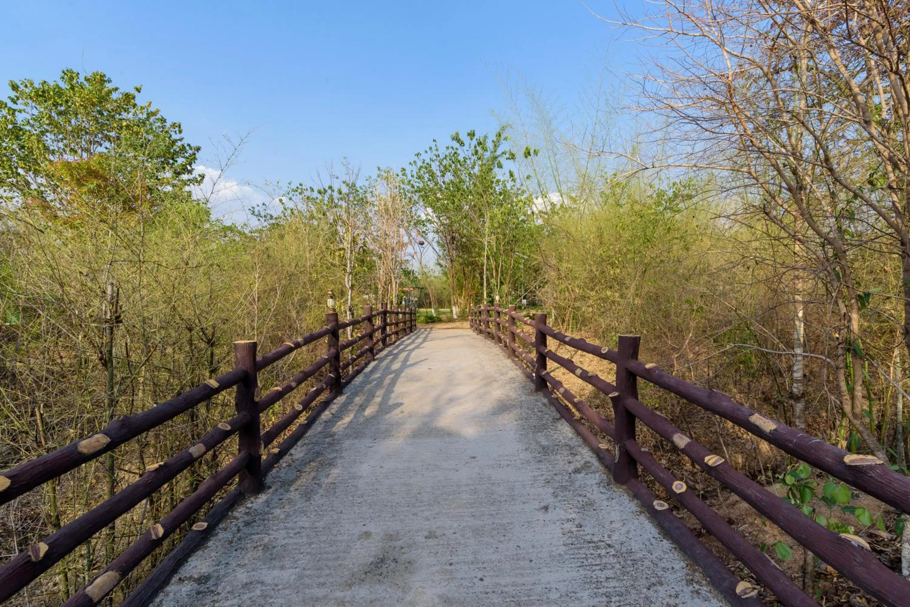 Property building in The Riverwood Forest Retreat Pench