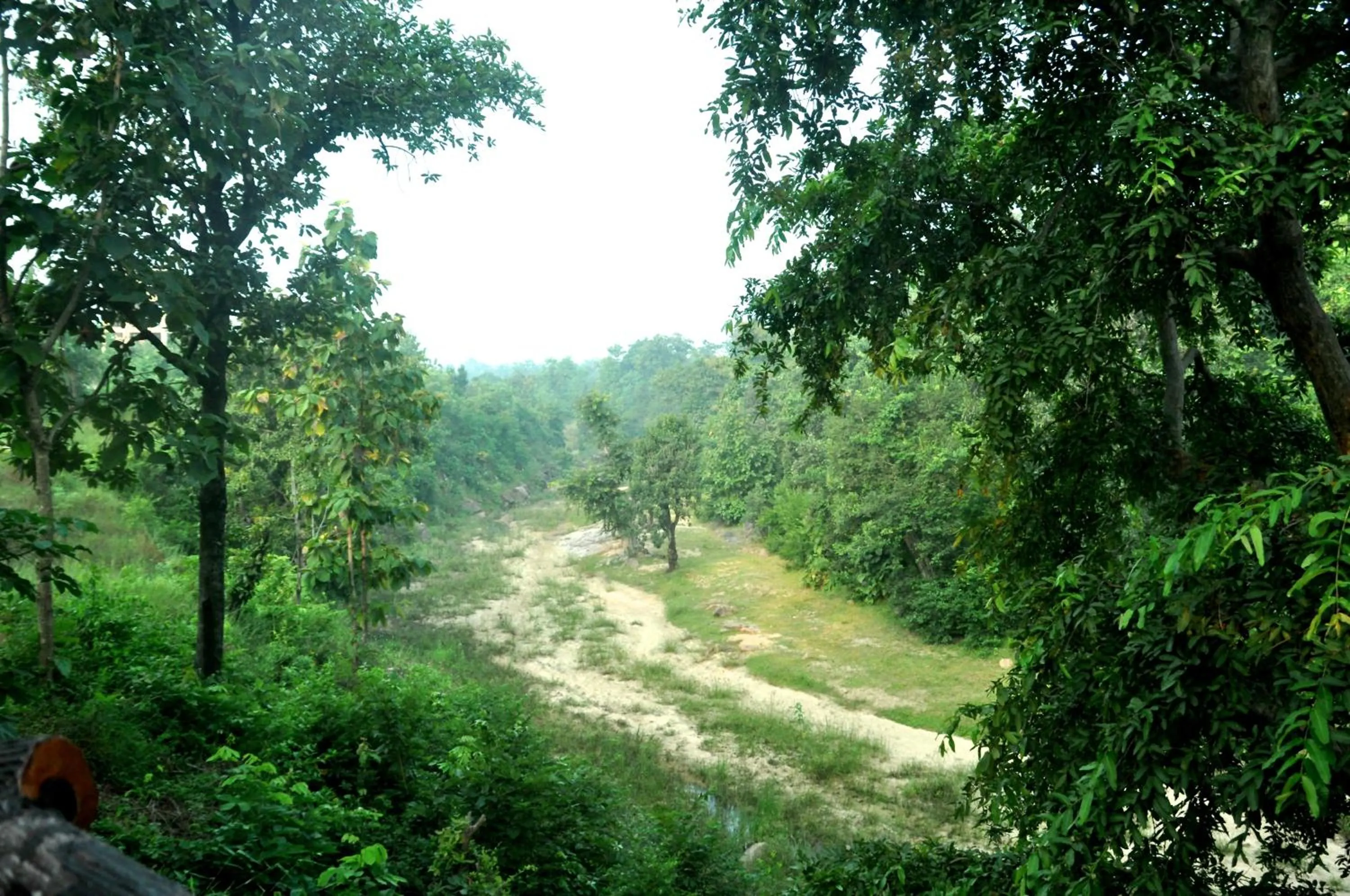 Natural landscape in The Riverwood Forest Retreat Pench