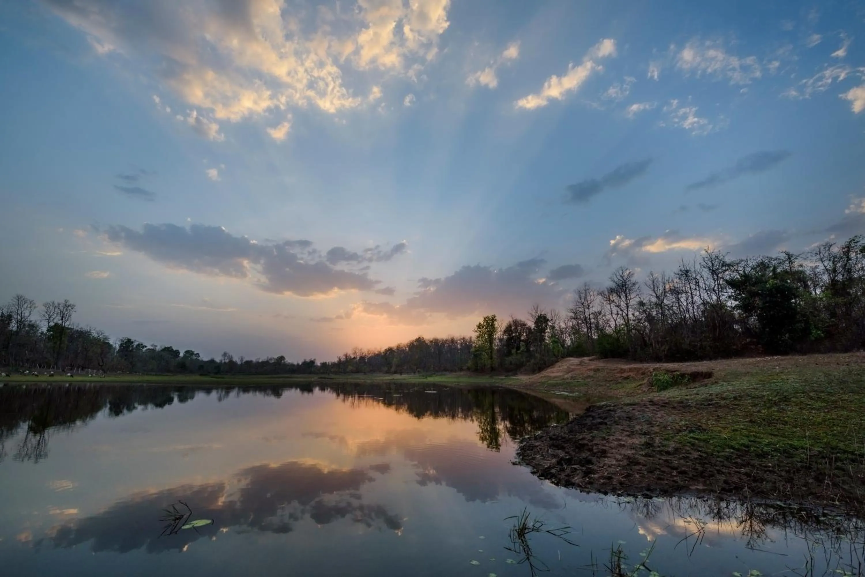 Natural landscape in The Riverwood Forest Retreat Pench