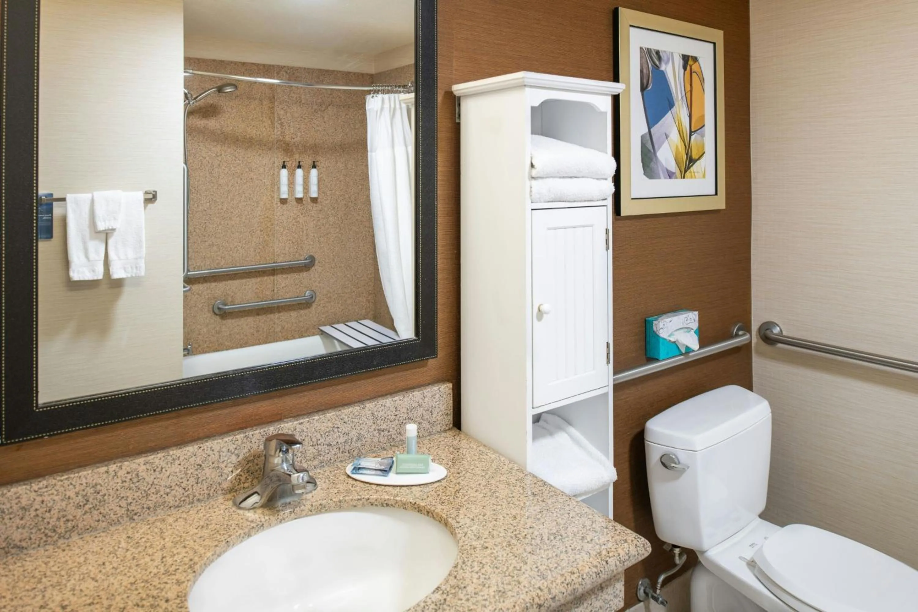 Bathroom in Fairfield Inn and Suites by Marriott Elk Grove